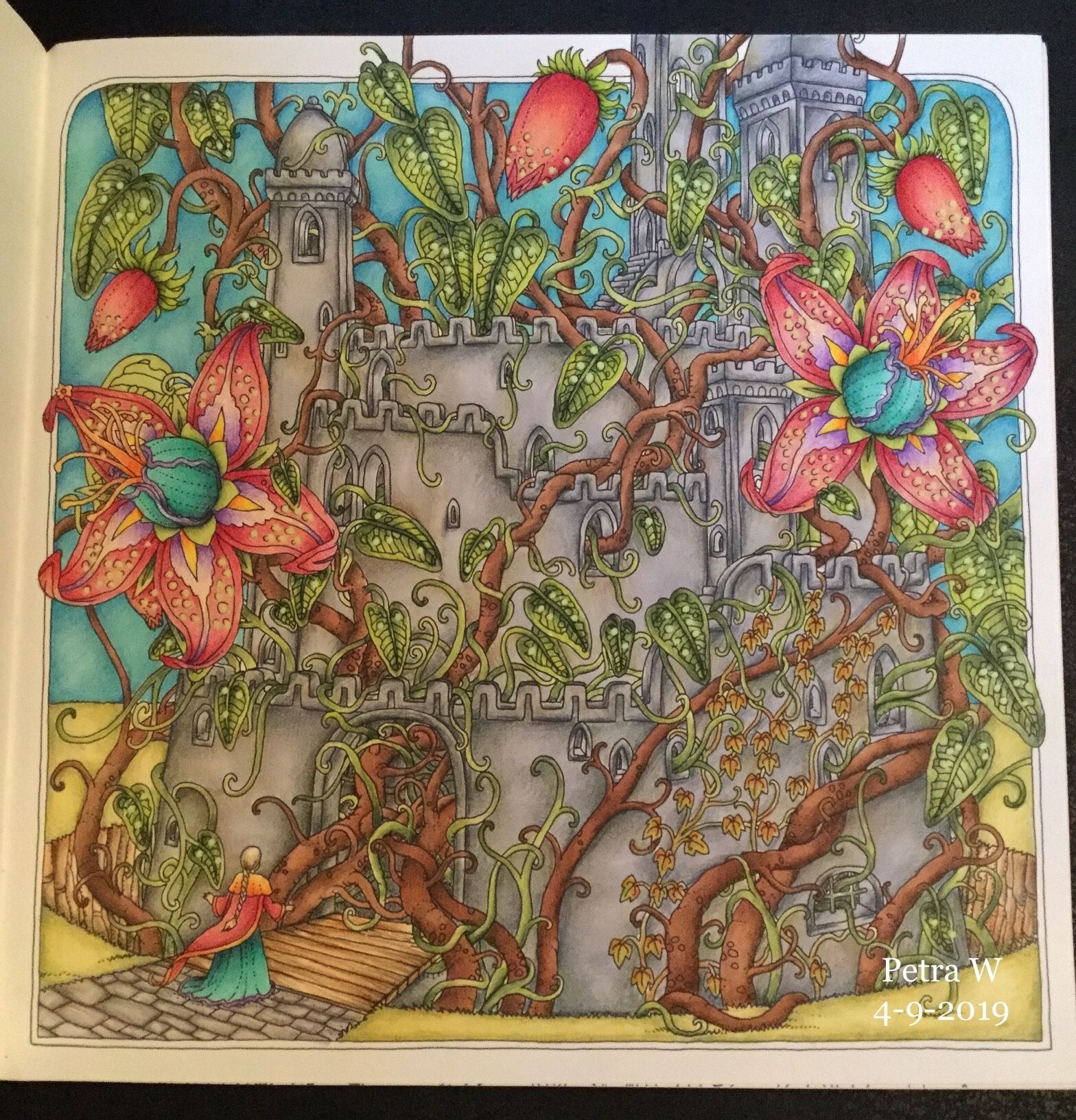 Sprookjesbos Tomislav Tomic Coloring Book Pages Coloring Books Color