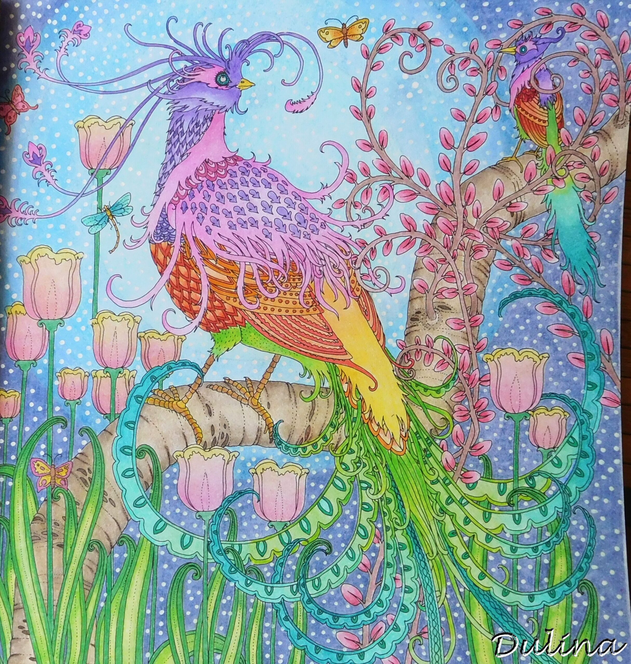 Tomislav Tomic Zemlja Snova Coloring Books Color Pencil Art Coloring Pages