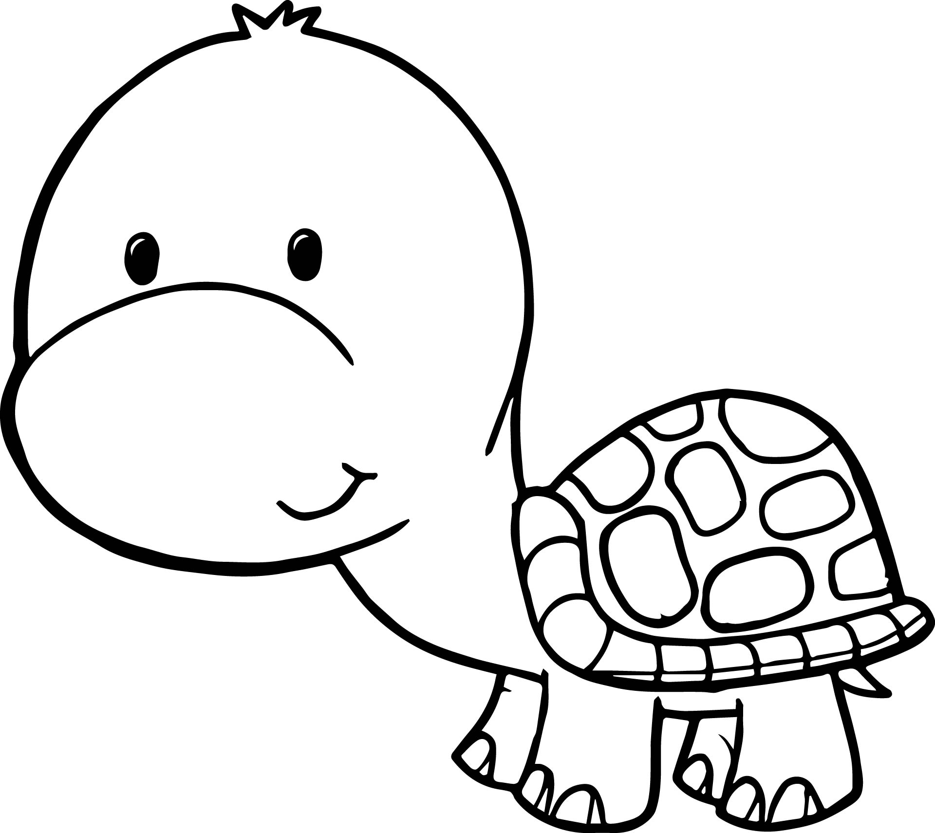 Baby Turtle Coloring Pages