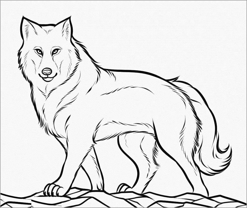 Wolf Coloring Pages ColoringBay
