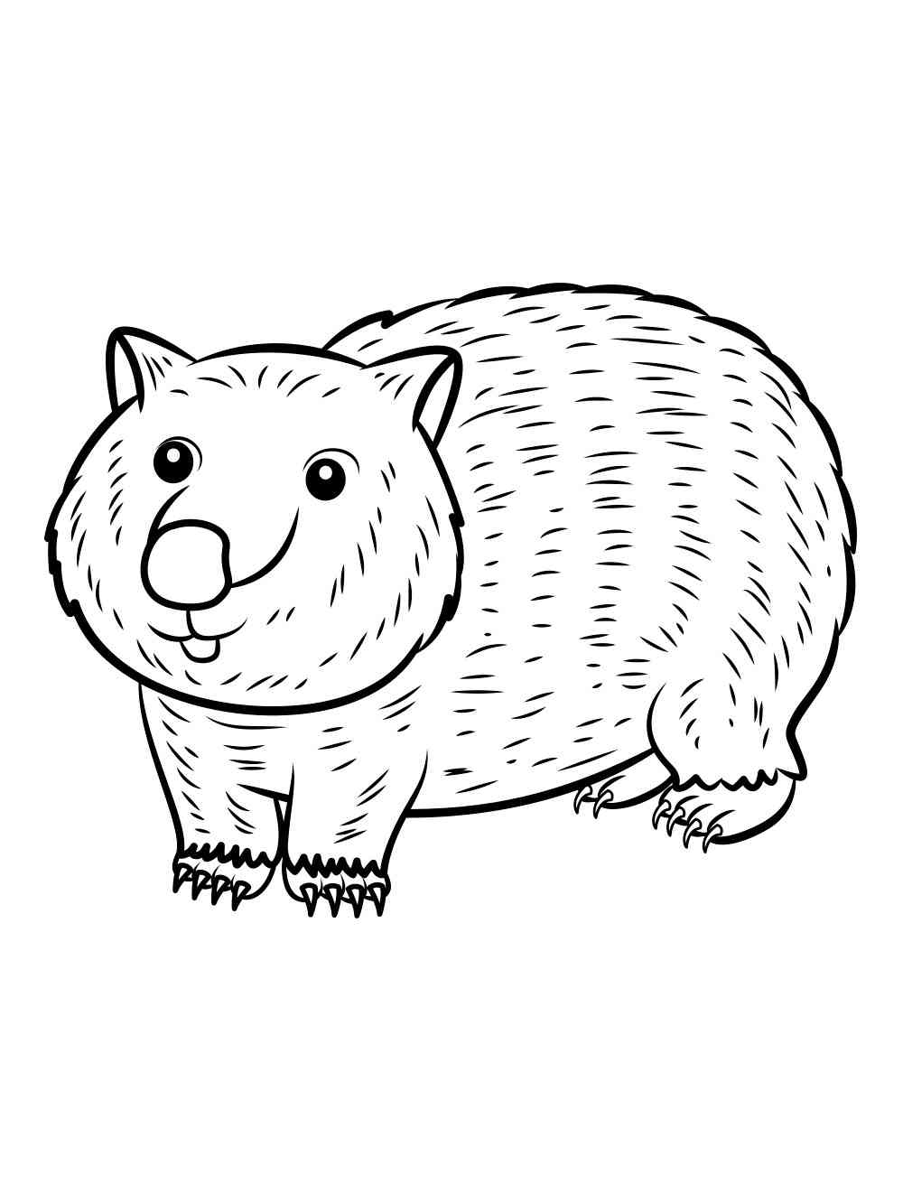 Wombat Bear Coloring Page