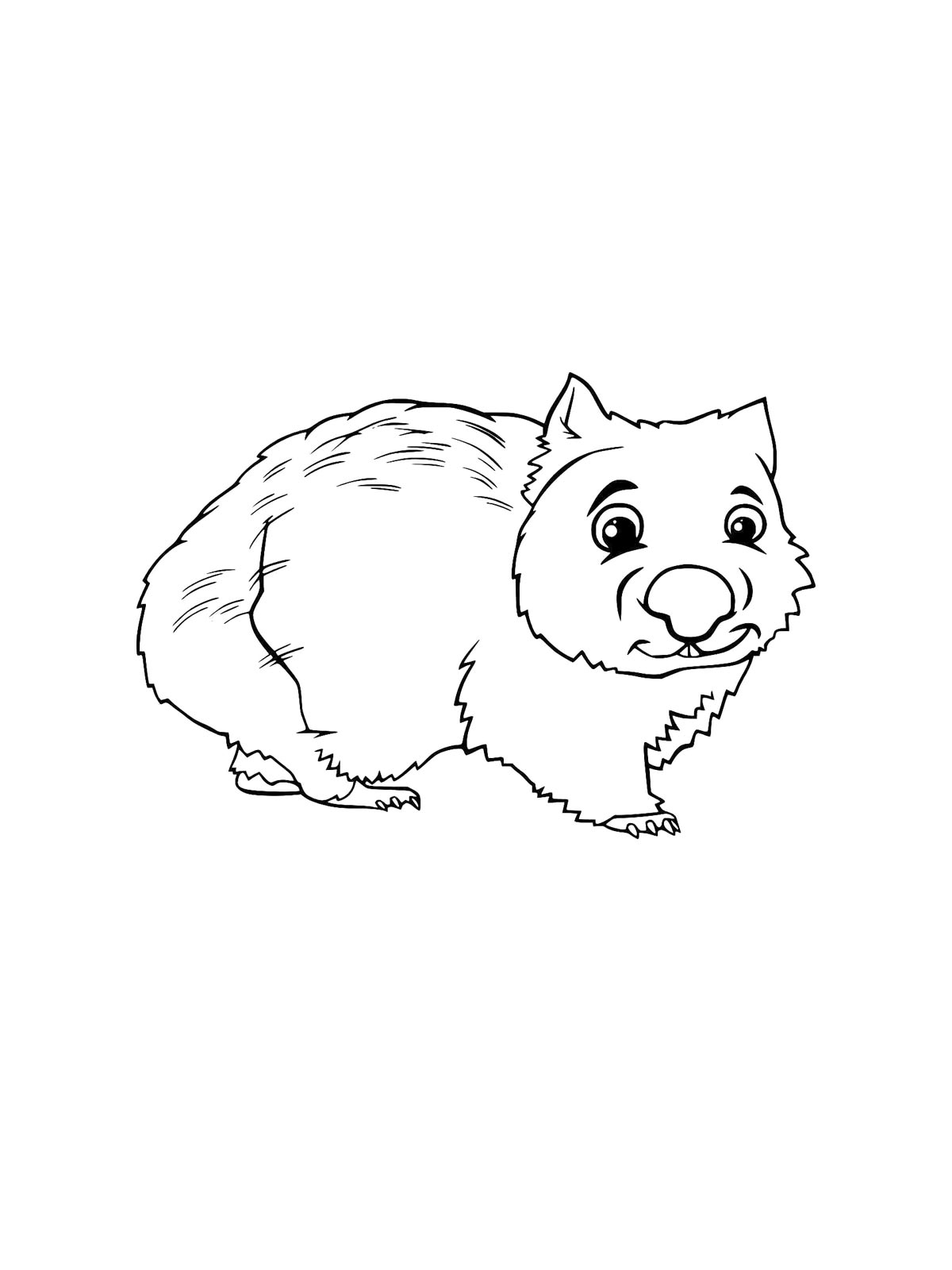 Wombat Coloring Pages
