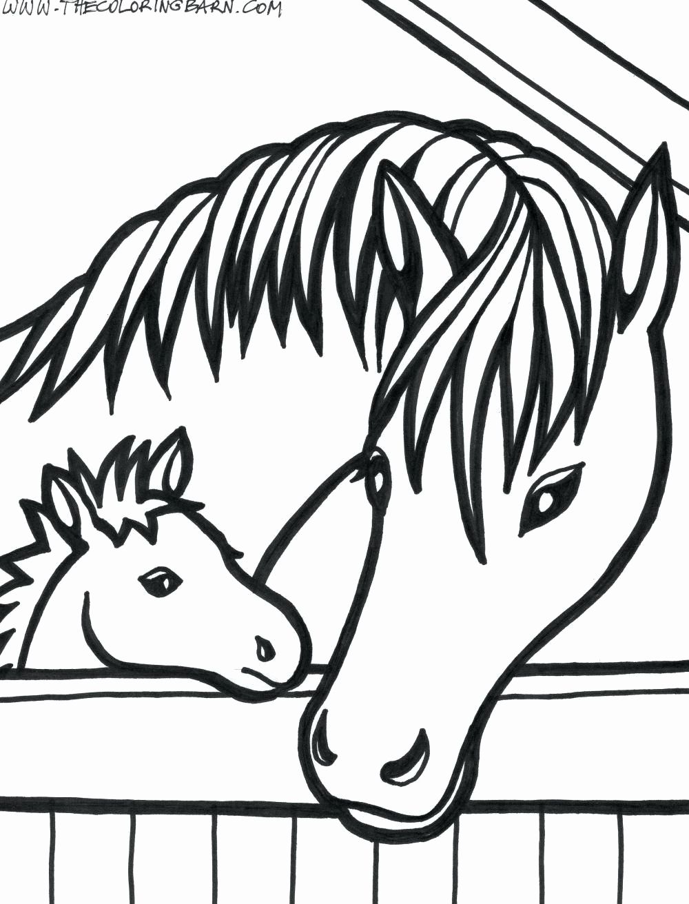 10 Baby Horse Coloring Pages Image