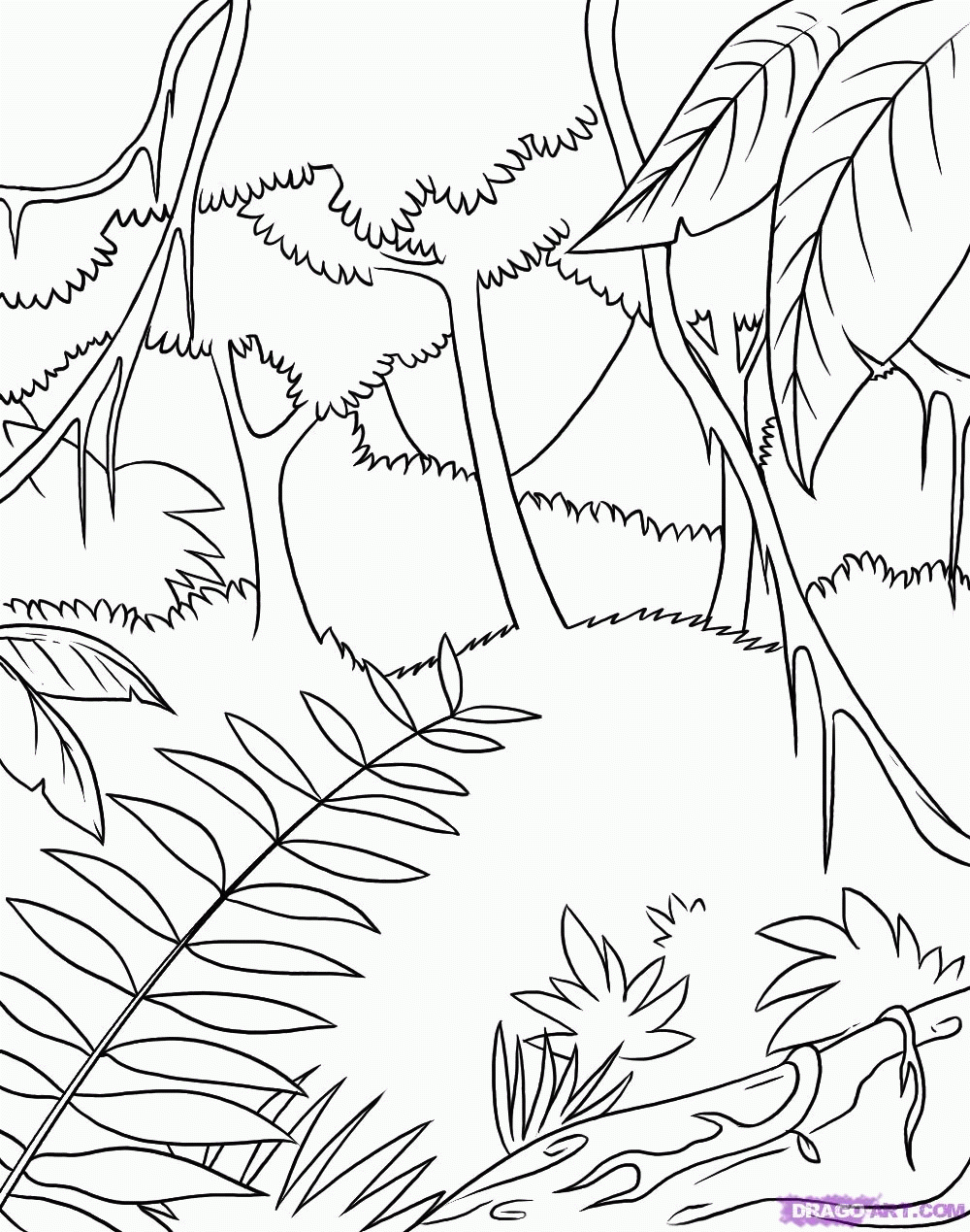 10 Pics Of Tropical Rainforest Plants Coloring Pages Rainforest Coloring Home