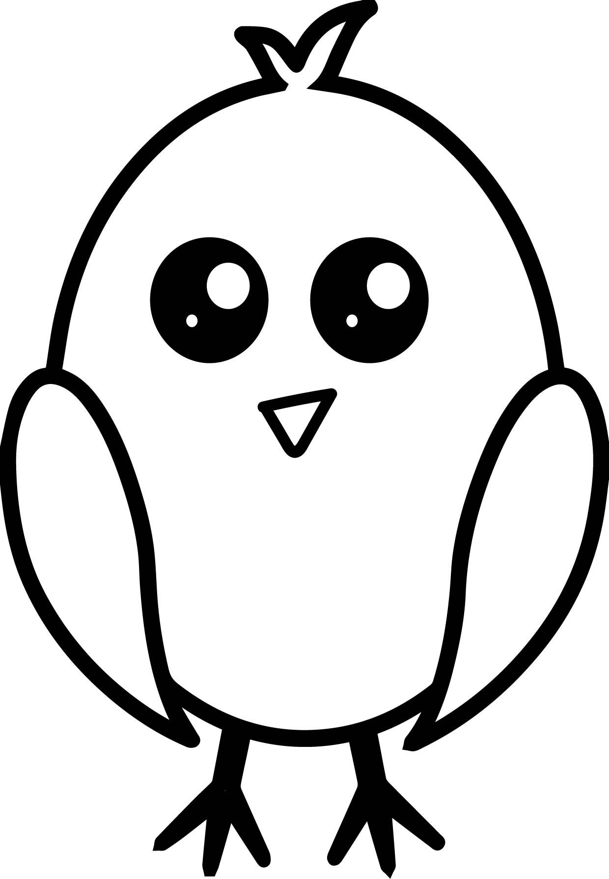 13 Baby Chick Colouring Pages Information