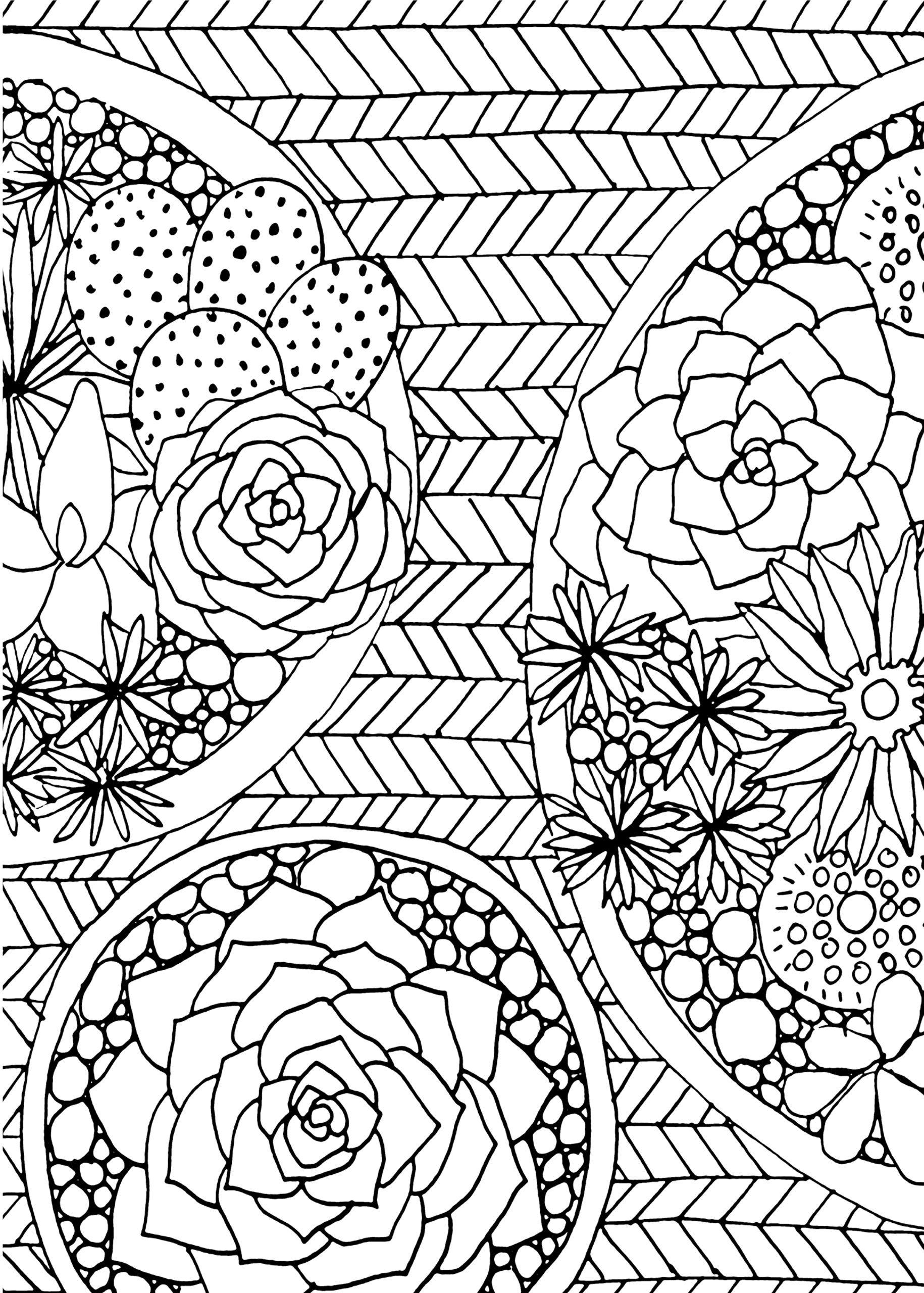 15 Succulent Coloring Pages Printable Coloring Pages