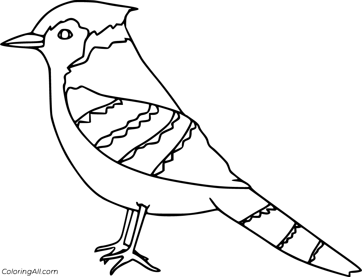 16 Free Printable Blue Jay Coloring Pages In Vector Format Easy To Print From Any Device And
