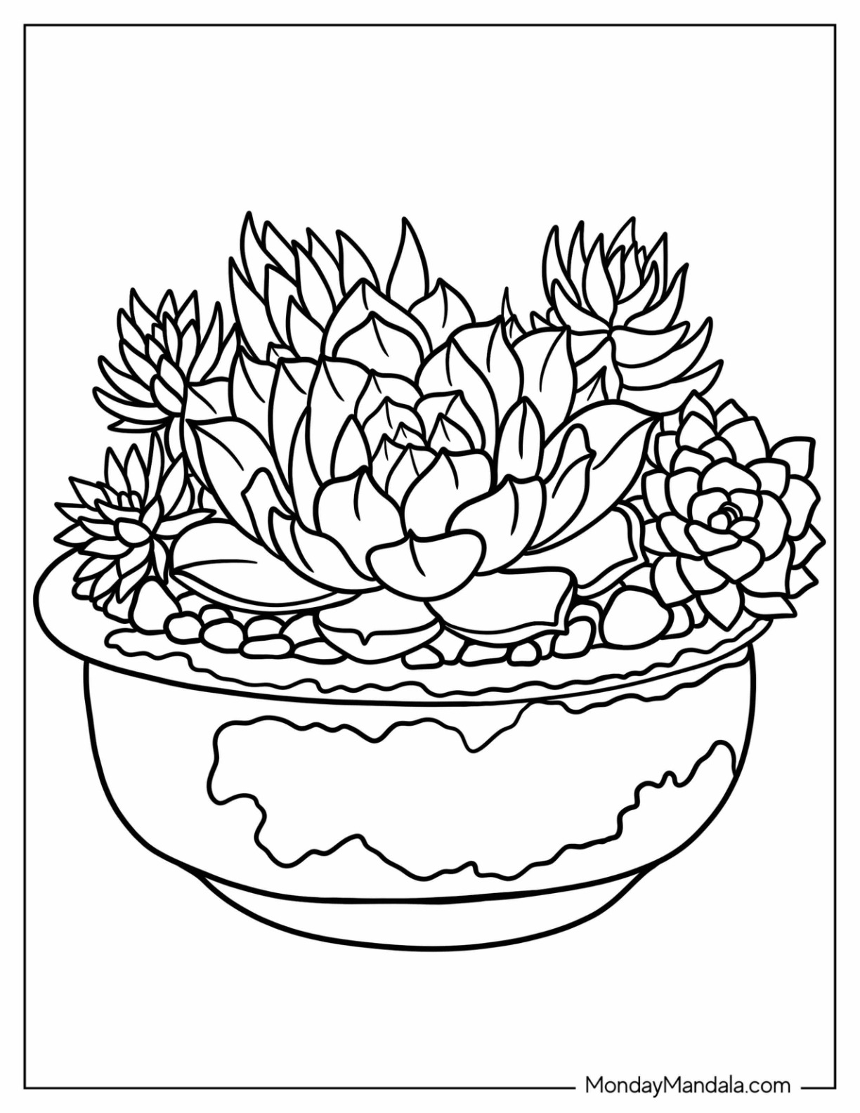 20 Succulent Coloring Pages Free PDF Printables