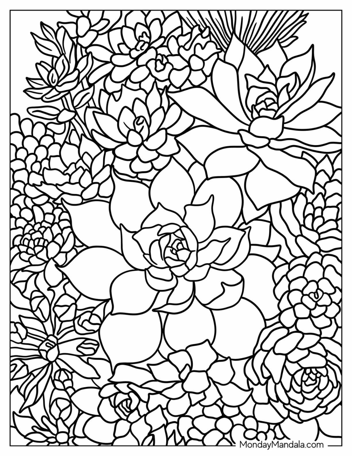 Succulent Coloring Pages