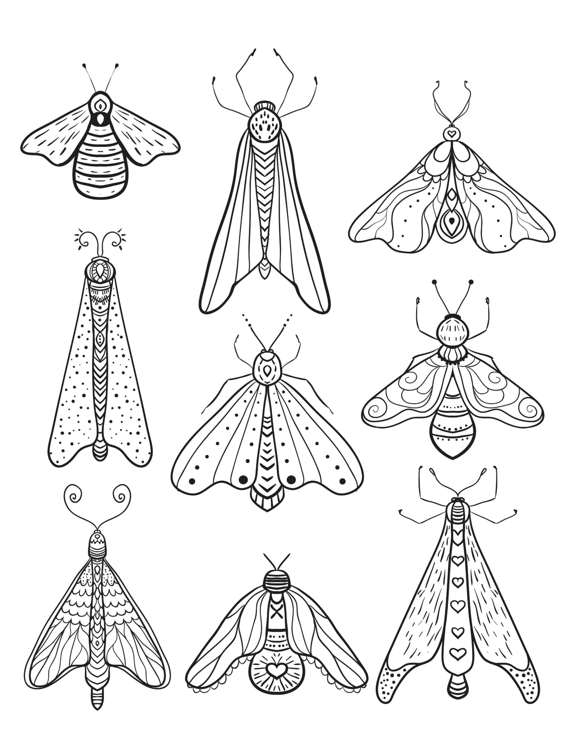 23 Free Printable Insect Animal Adult Coloring Pages Insect Coloring Pages Insect Art