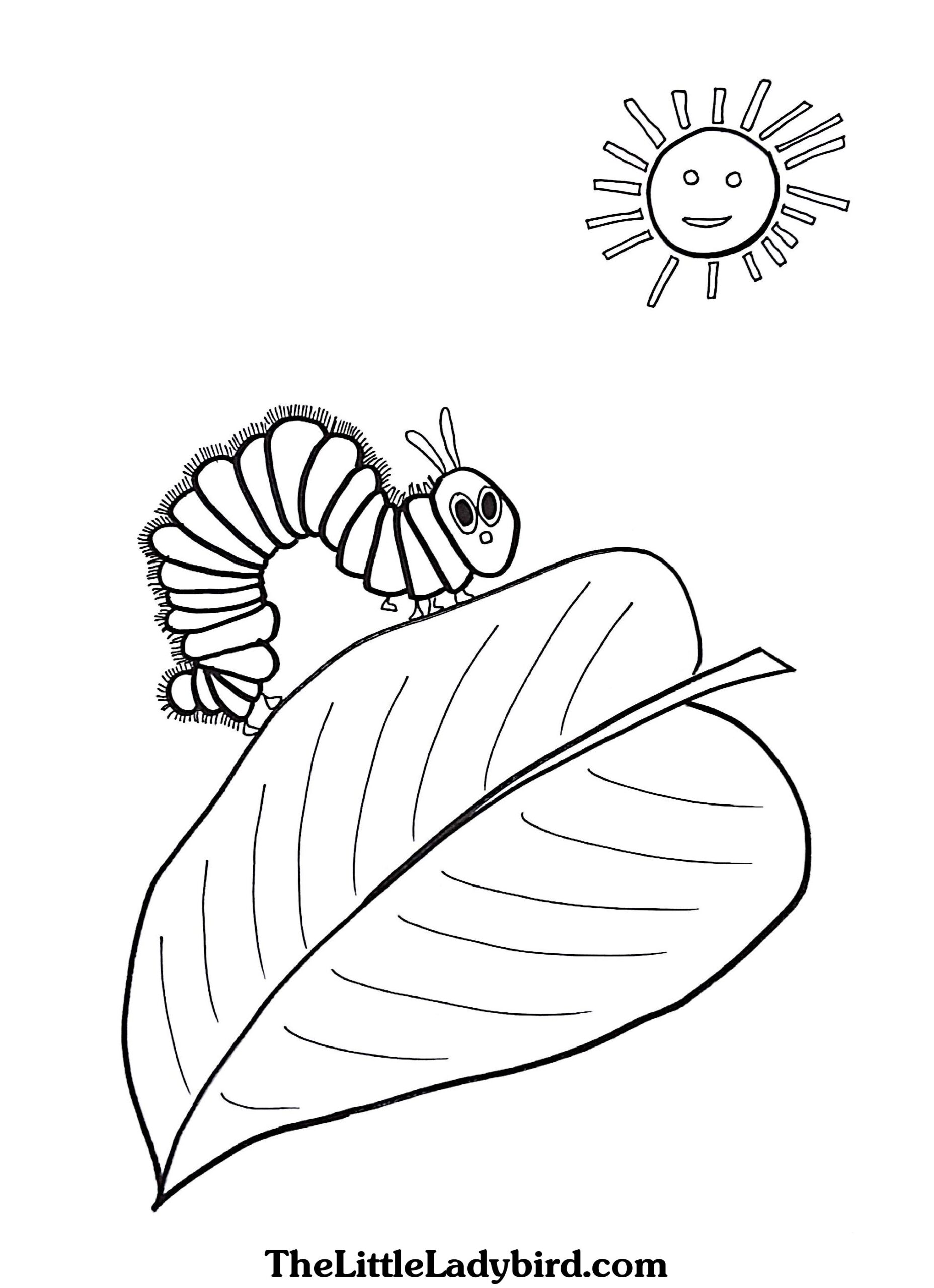 25 Awesome Picture Of Hungry Caterpillar Coloring Pages Entitlementtrap