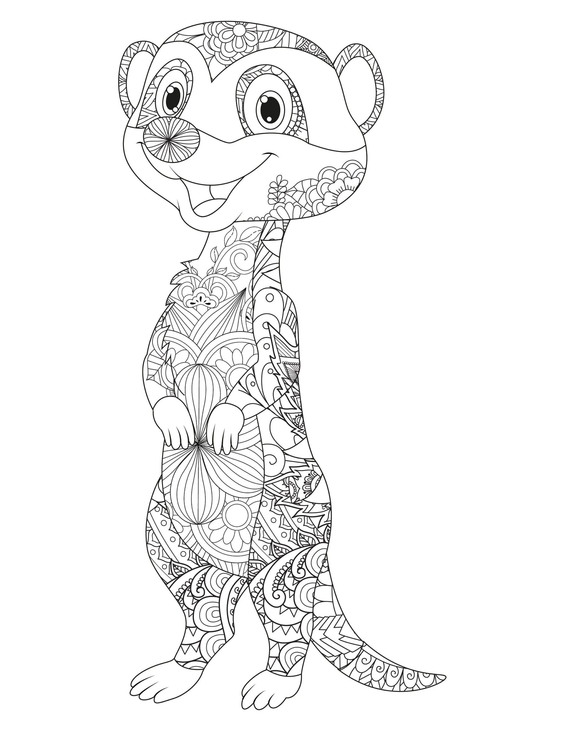 26 Best Ideas For Coloring Meerkat Coloring Page