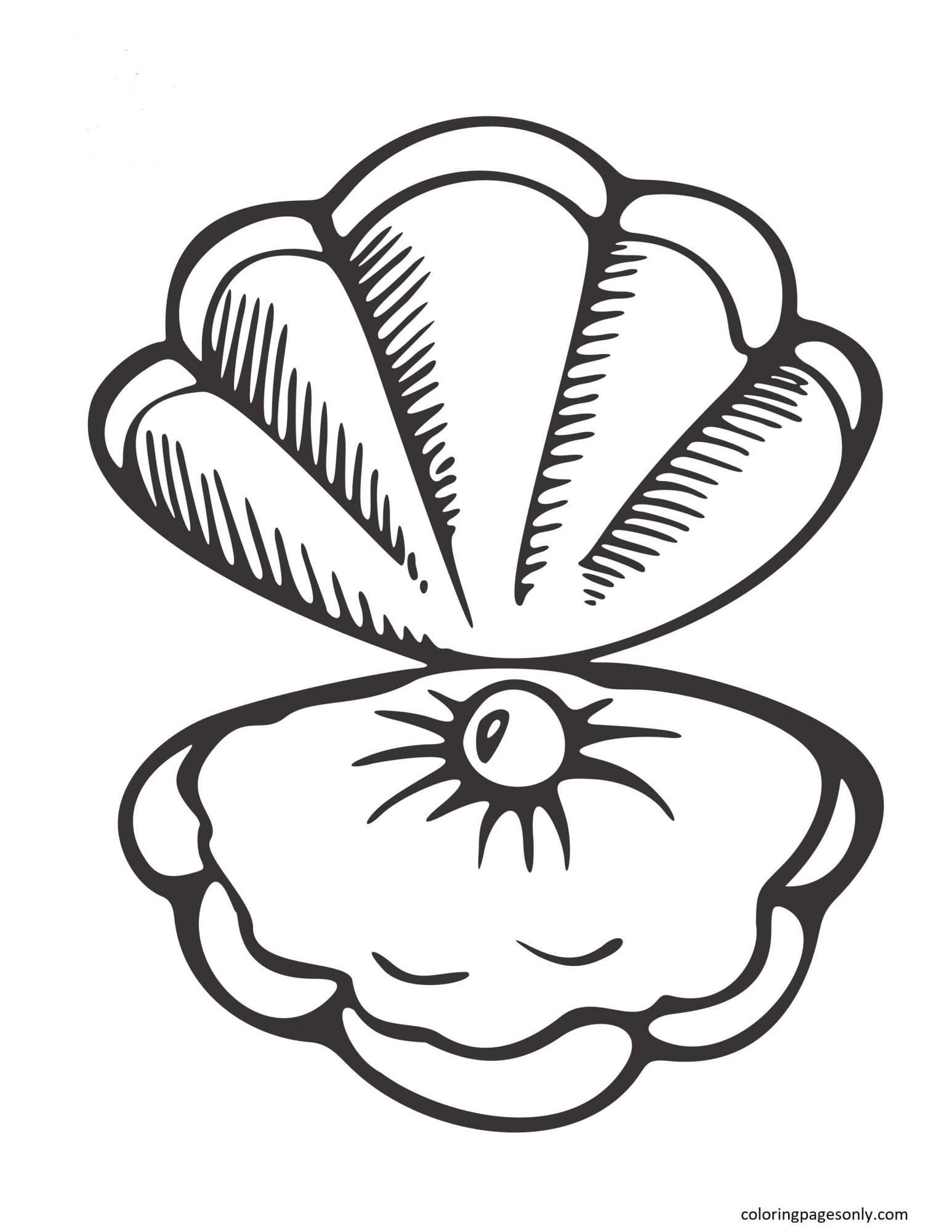 30 Clam Coloring Pages ColoringPagesOnly