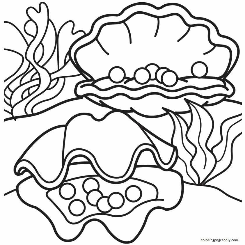30 Clam Coloring Pages ColoringPagesOnly