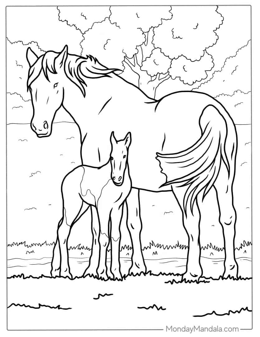 44 Horse Coloring Pages Free PDF Printables