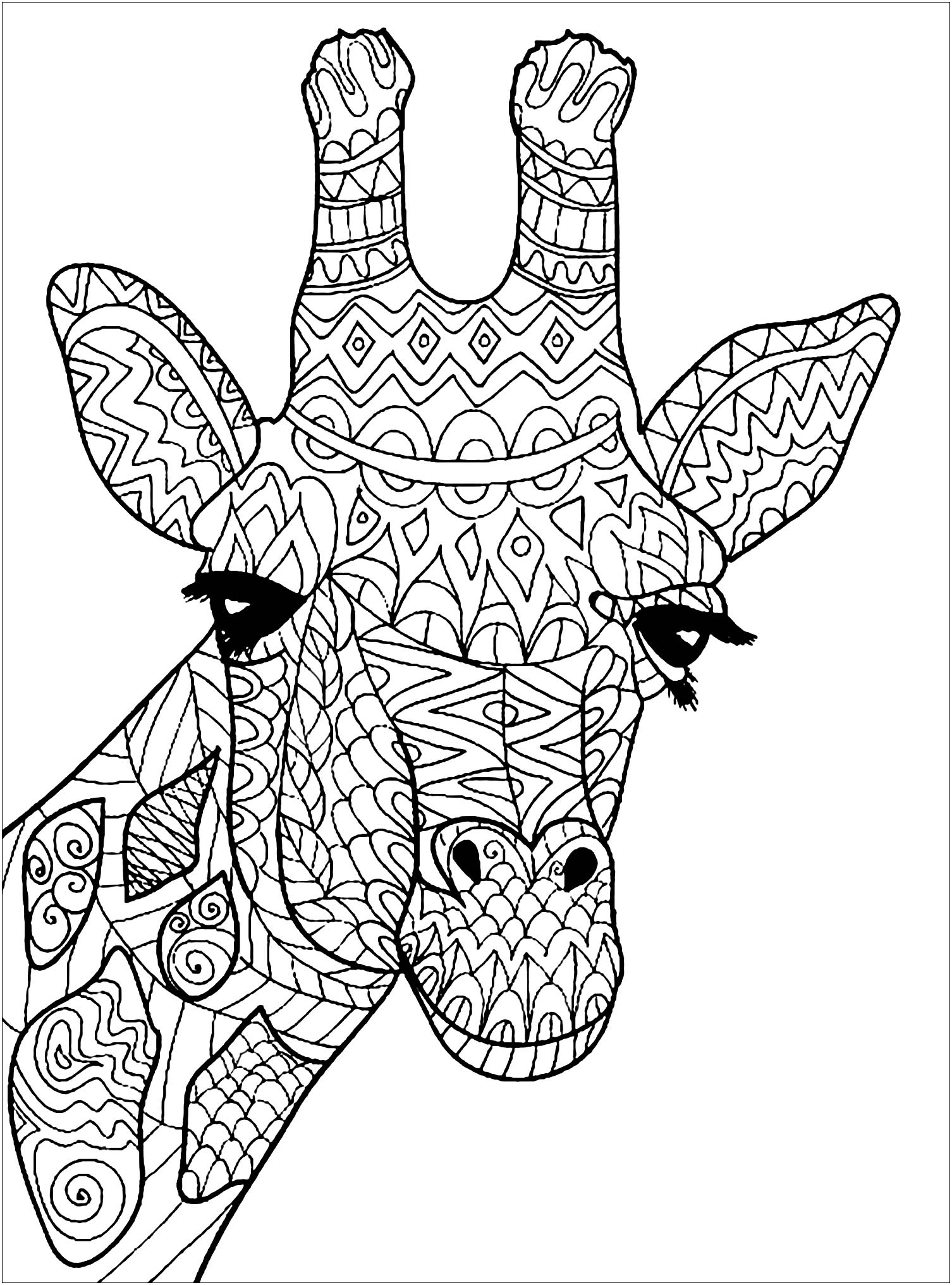 Adult Animal Coloring Pages