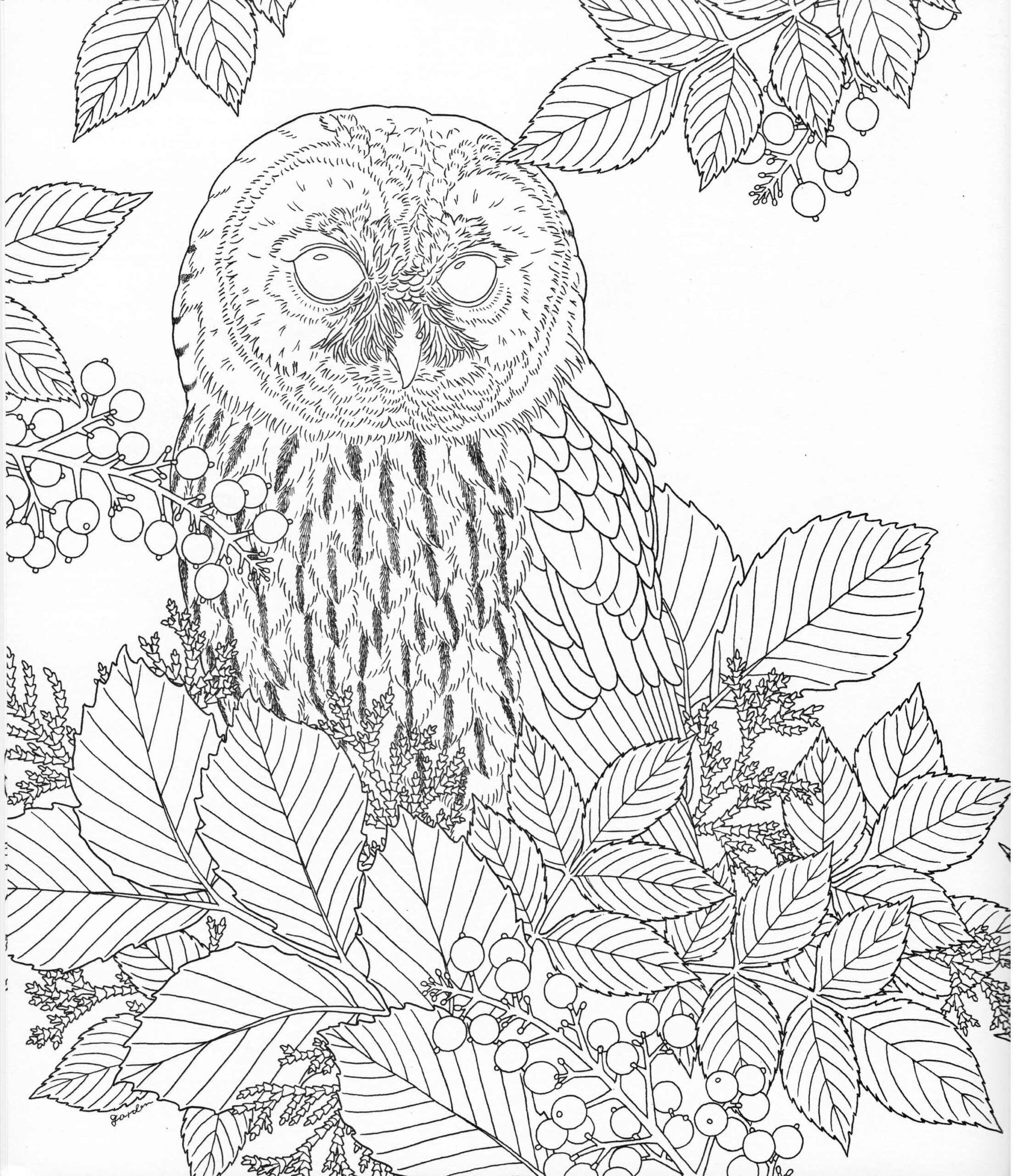 67 Nature Coloring Pages For Adults Just Kids