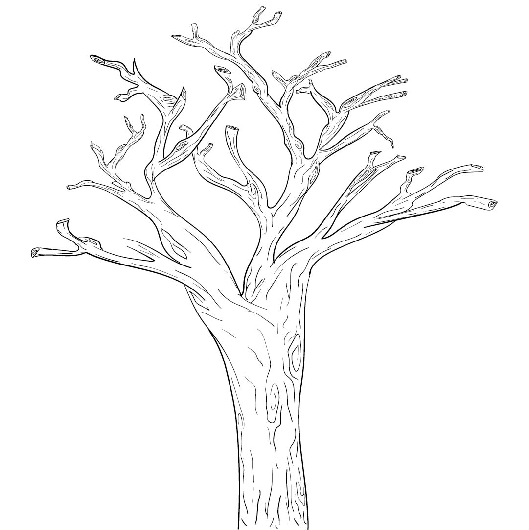 8 Best Images Of Tree Branches With Printable Pattern Tree Trunk Coloring Page Pattern