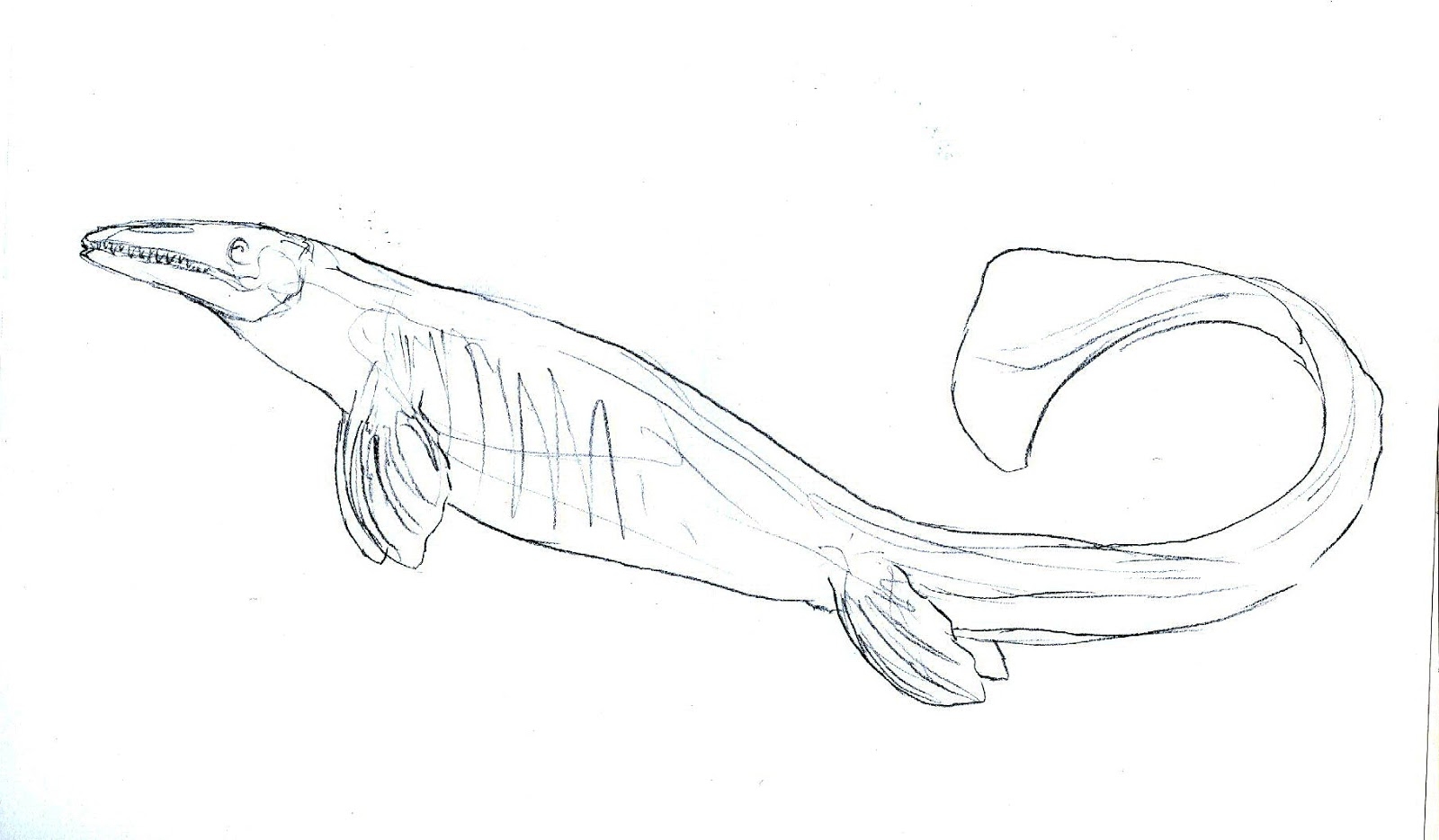 9 Best Ideas For Coloring Liopleurodon Coloring Pages For Kids