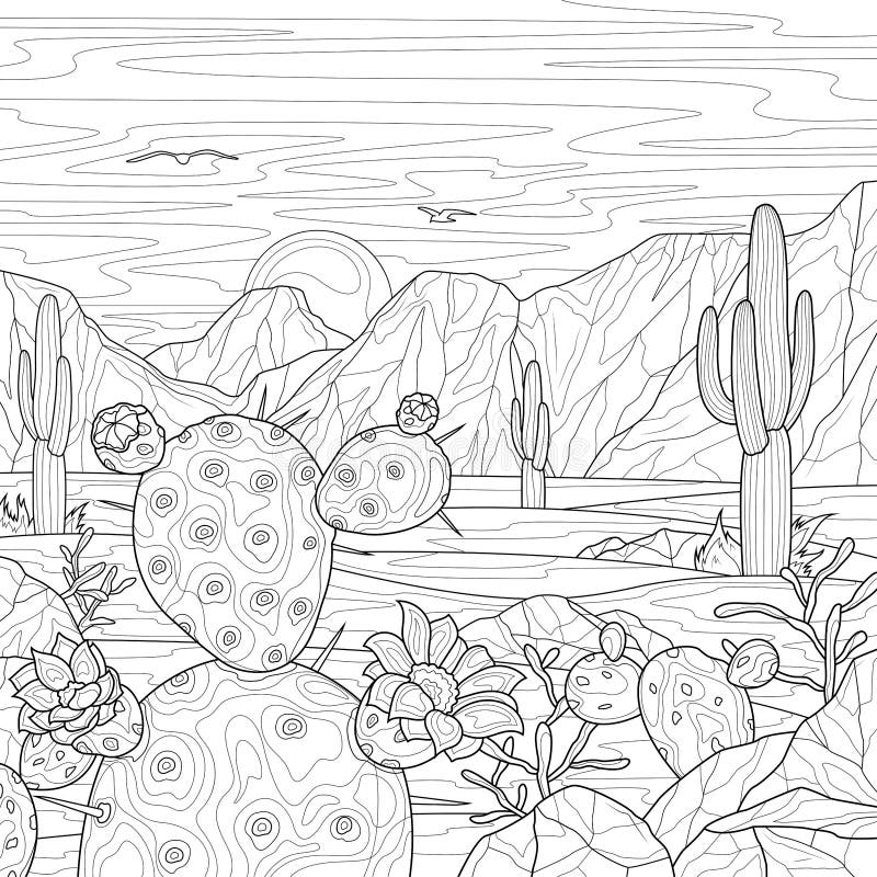 Adult Coloring Book Desert Landscape Stock Illustrations 22 Adult Coloring Book Desert