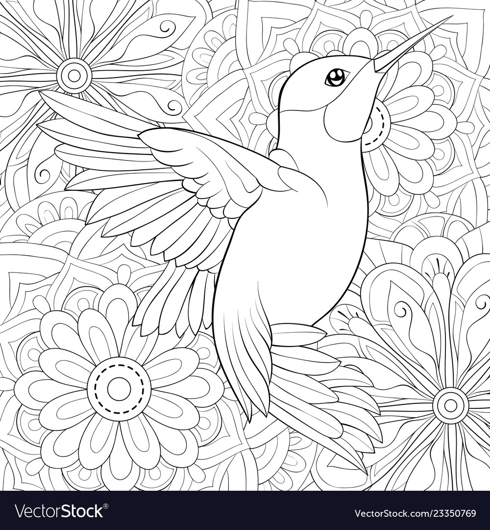 Adult Coloring Bookpage A Cute Hummingbird On The Vector Image