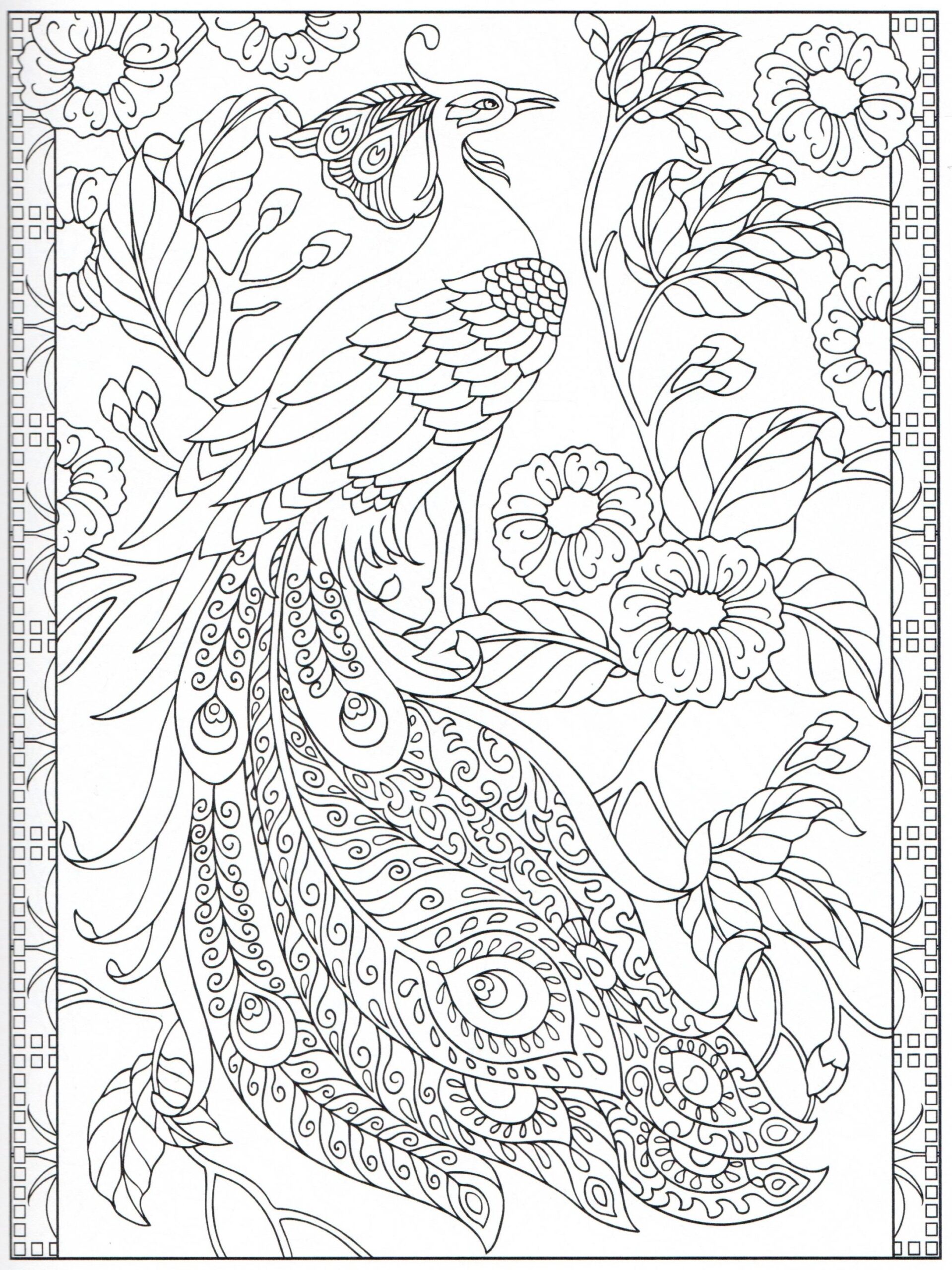 Adult Coloring Pages Peacock At GetDrawings Free Download