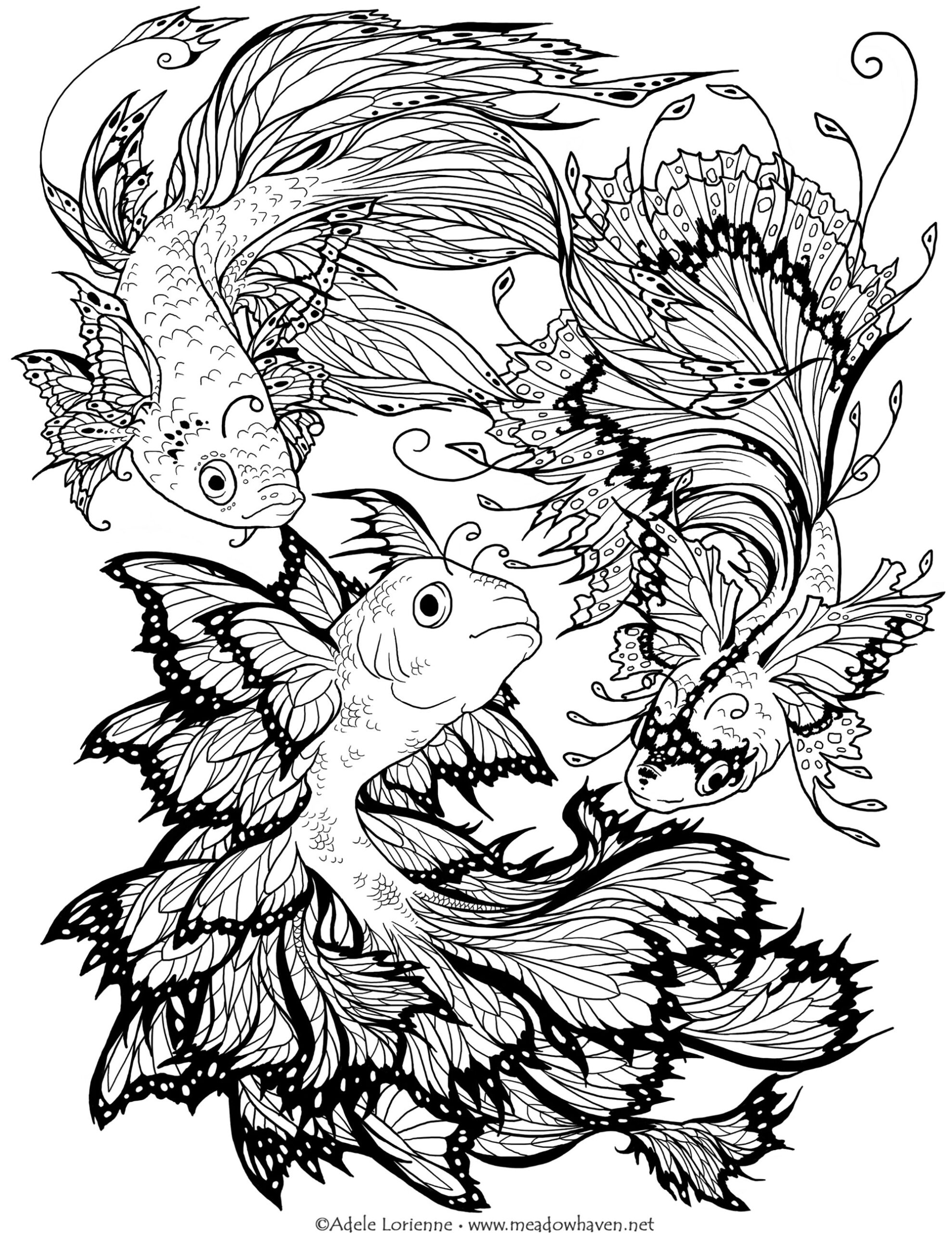 Adult Free Fish Coloring Pages Fish Coloring Page