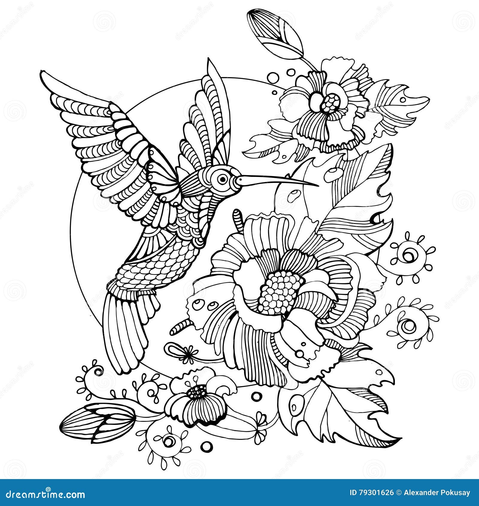 Adult Hummingbird Coloring Pages Printable Sketch Coloring Page