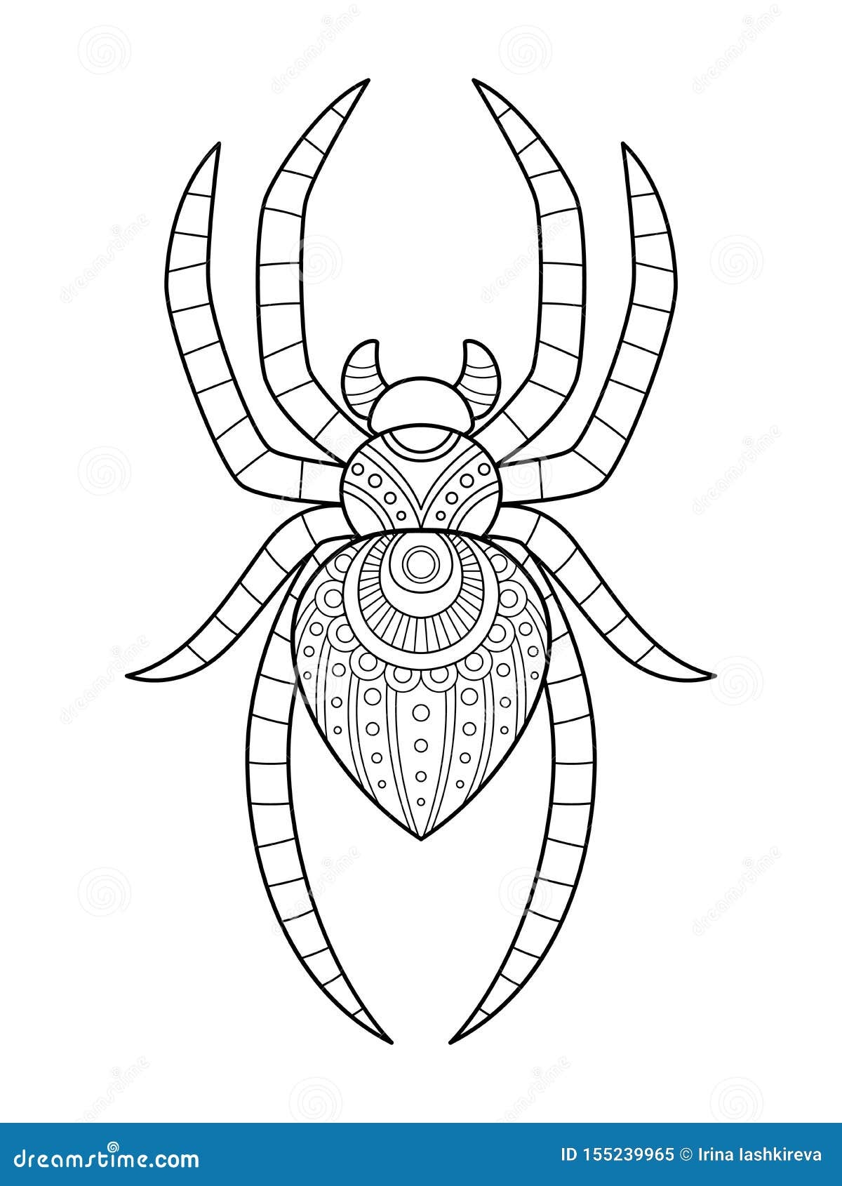Adult Spider Coloring Pages