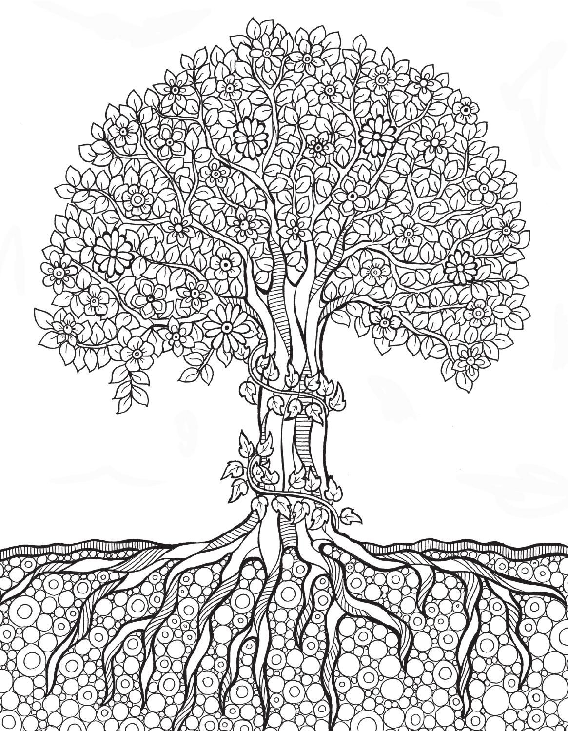 Adults Coloring Pages To Print Of Trees Lautigamu