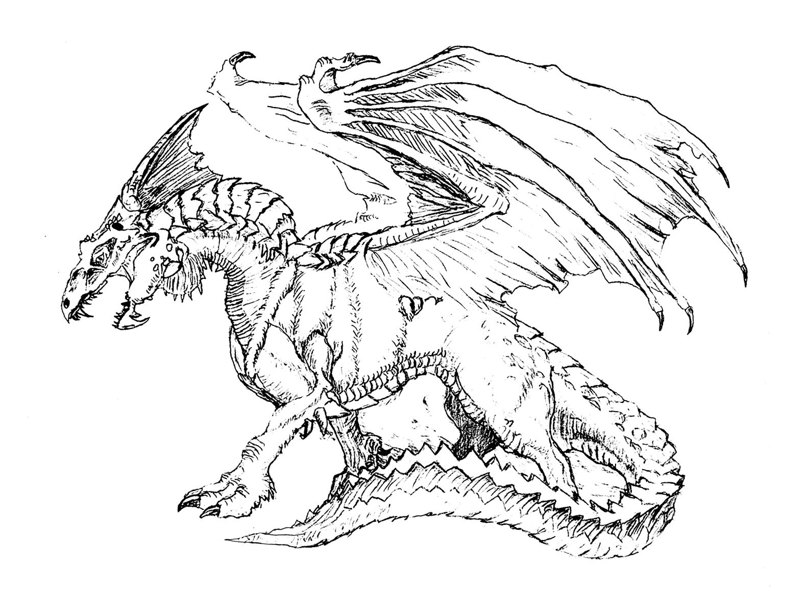 Advanced Dragon Coloring Pages At GetColorings Free Printable Colorings Pages To Print And