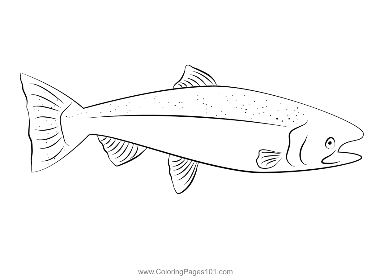 Salmon Coloring Pages