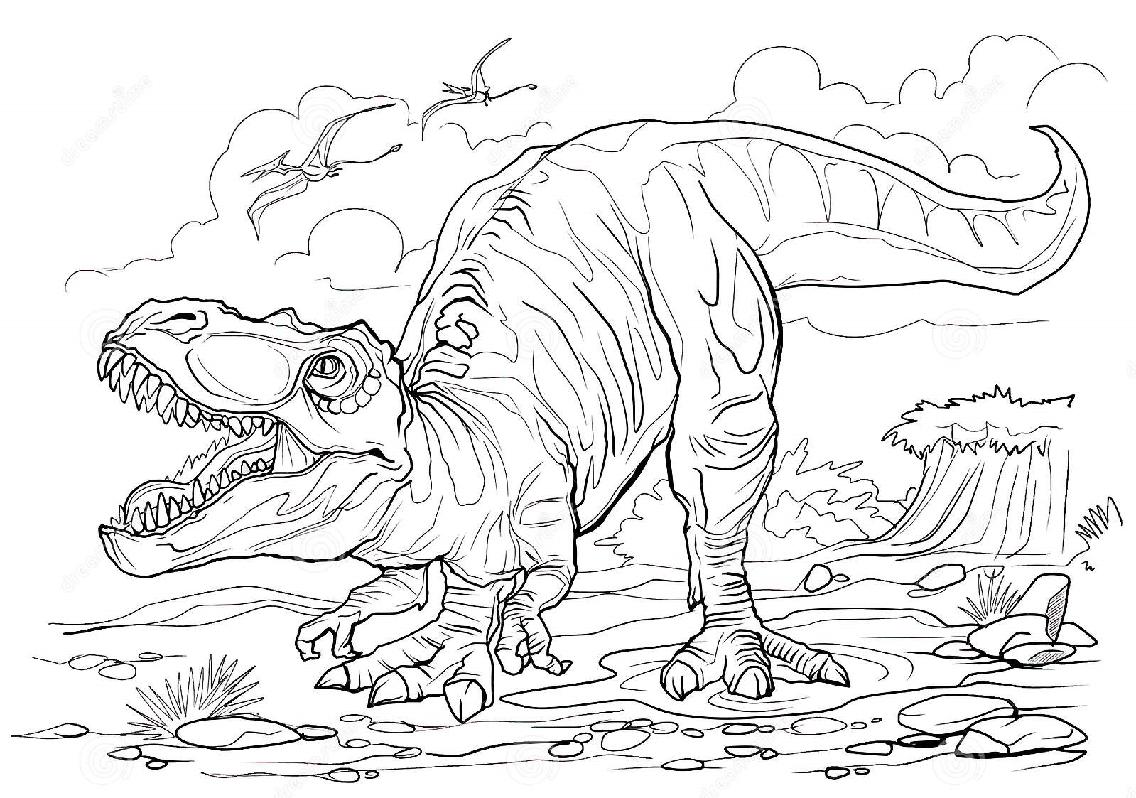 Allosaurus Zoom In Coloring Page Free Printable Coloring Pages