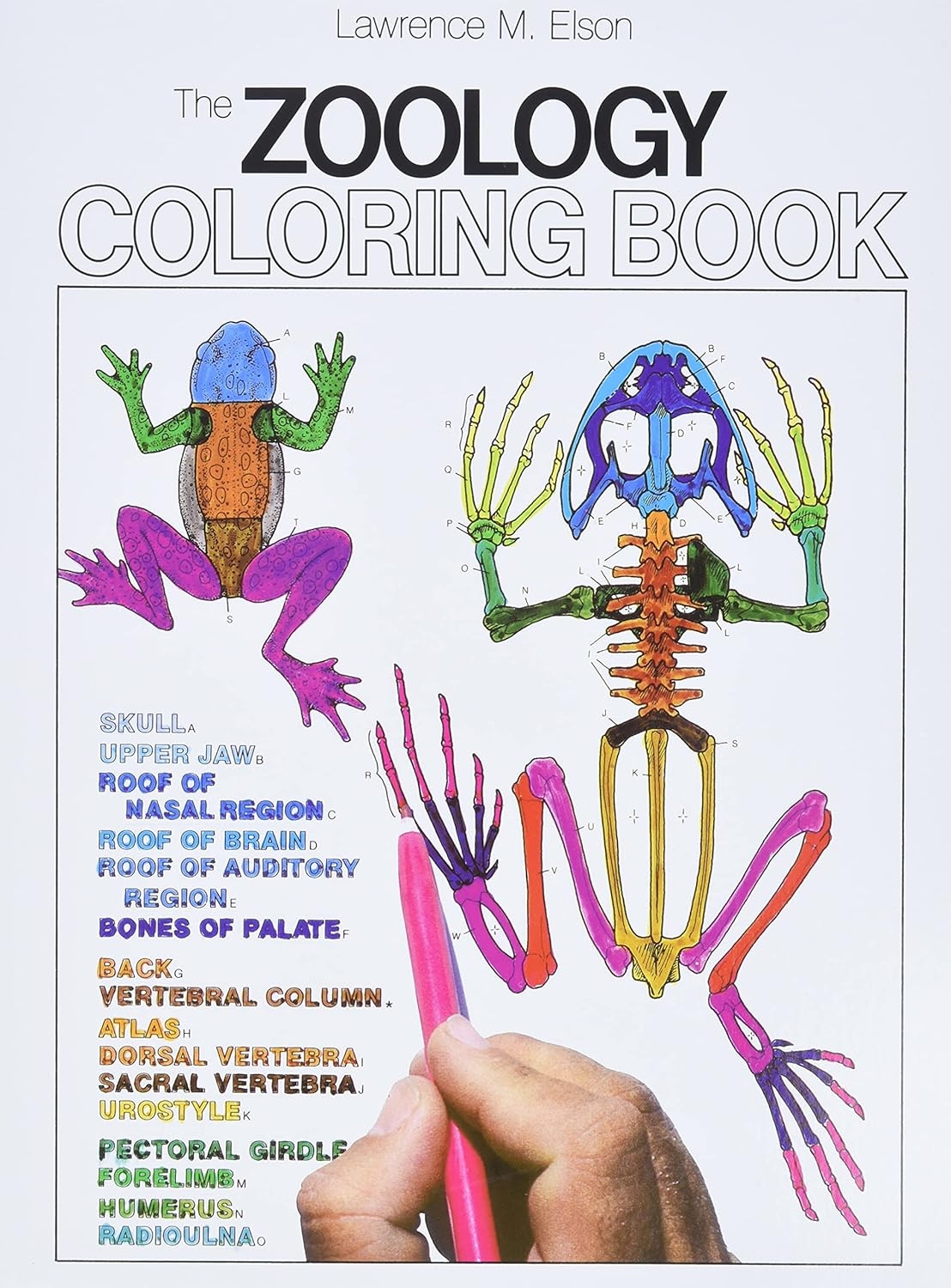 Amazon The Zoology Coloring Book 9780064603010 Elson Lawrence M Books