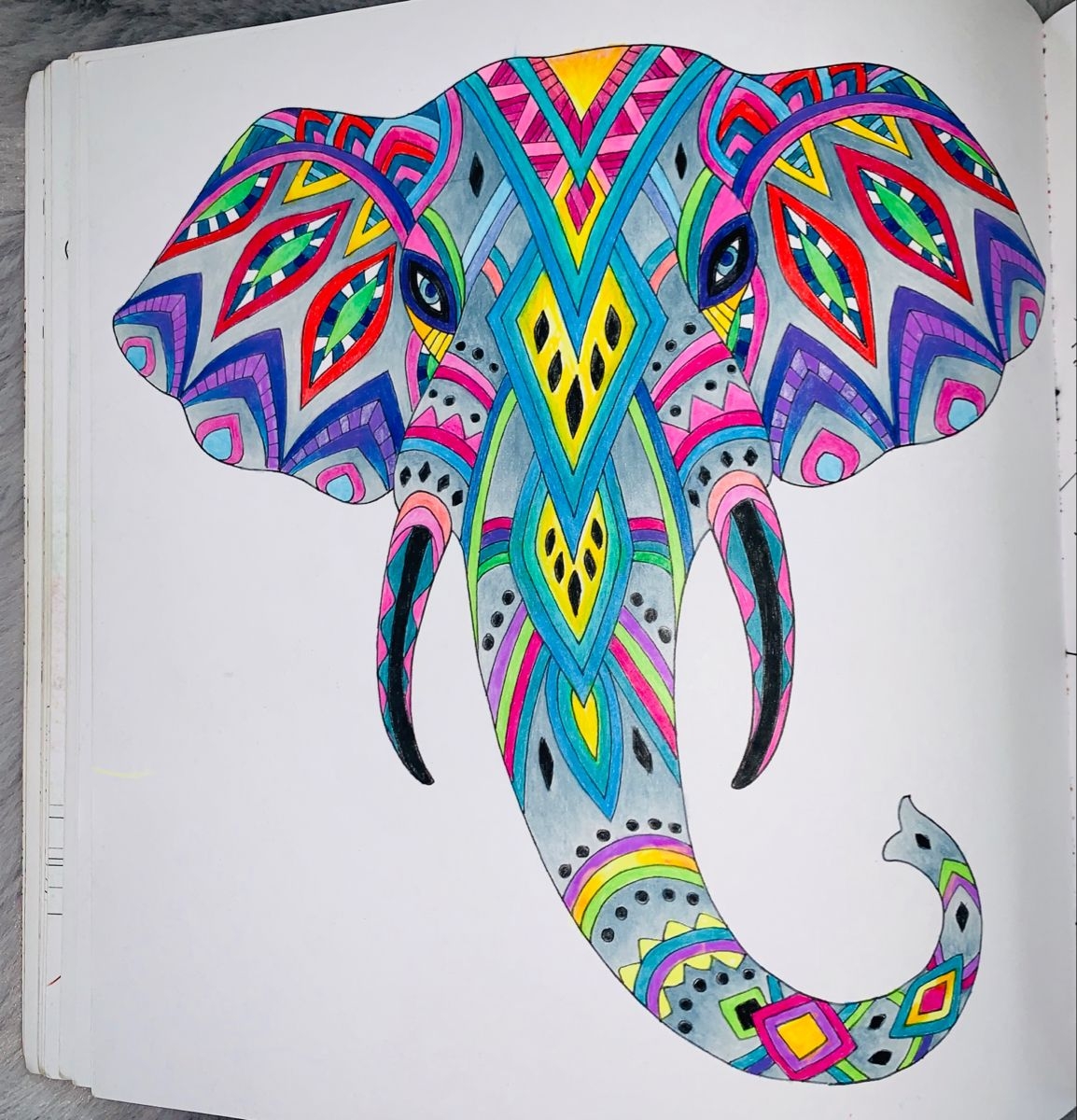 Animal Odyssey Coloring Book Pages Coloring Books Color