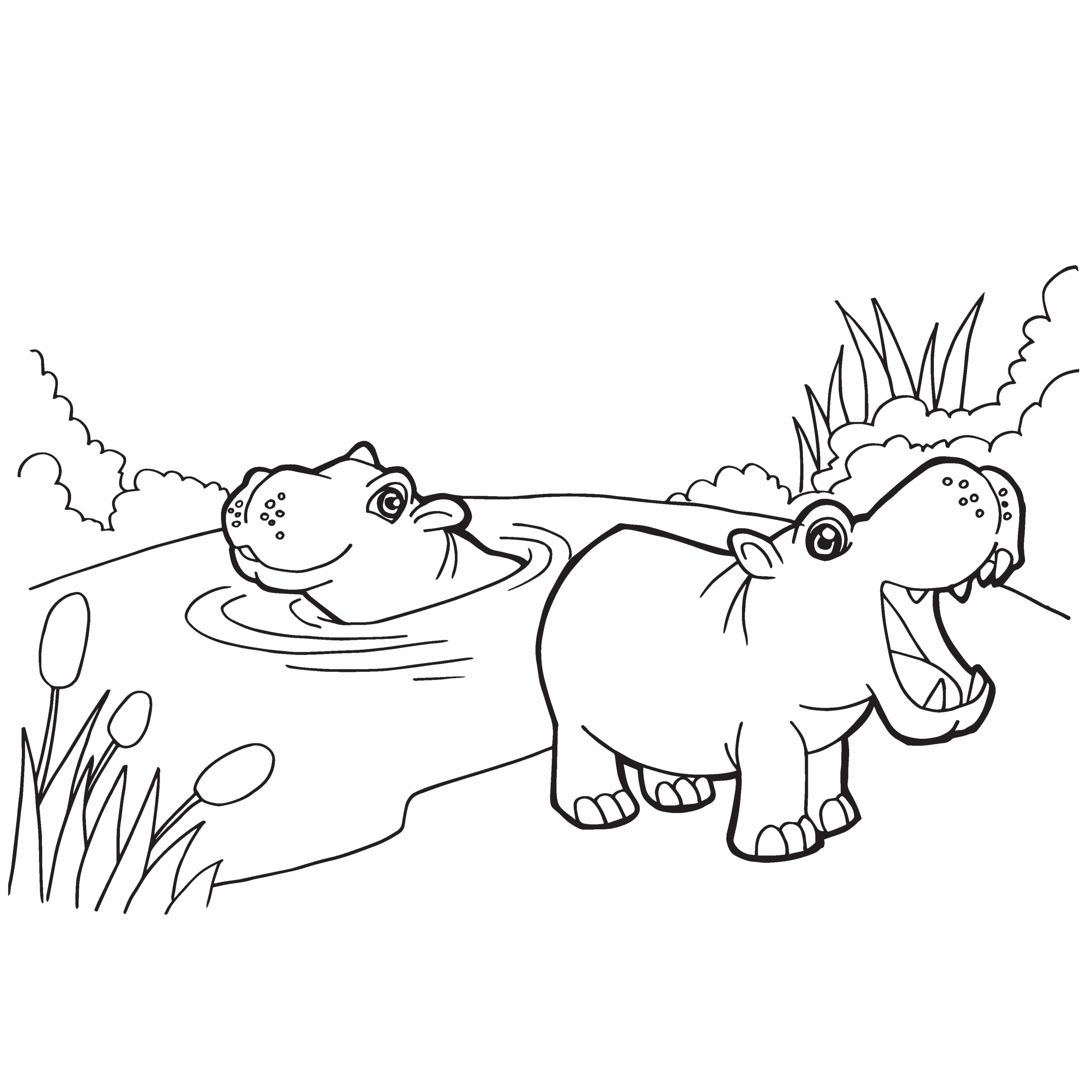 Hippo Coloring Page