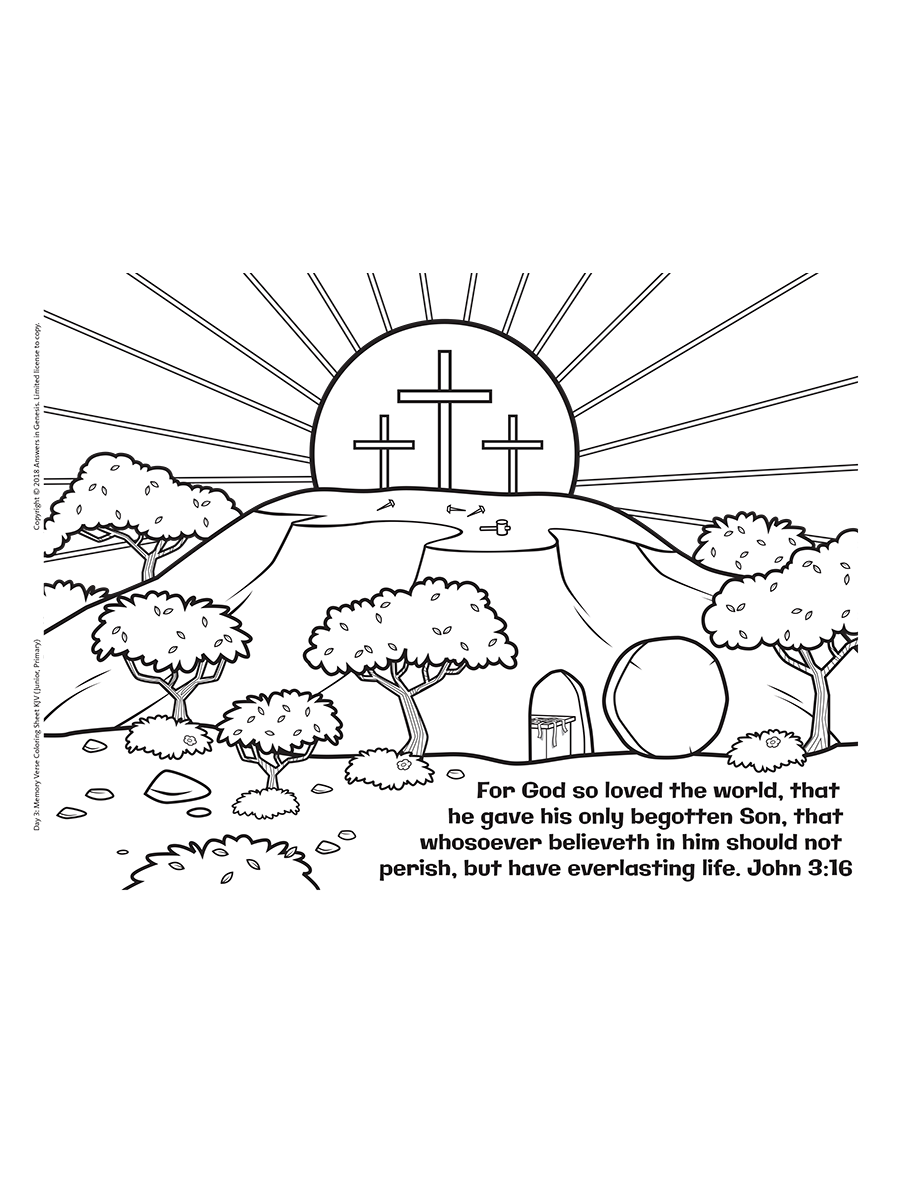 Answers In Genesis Coloring Pages
