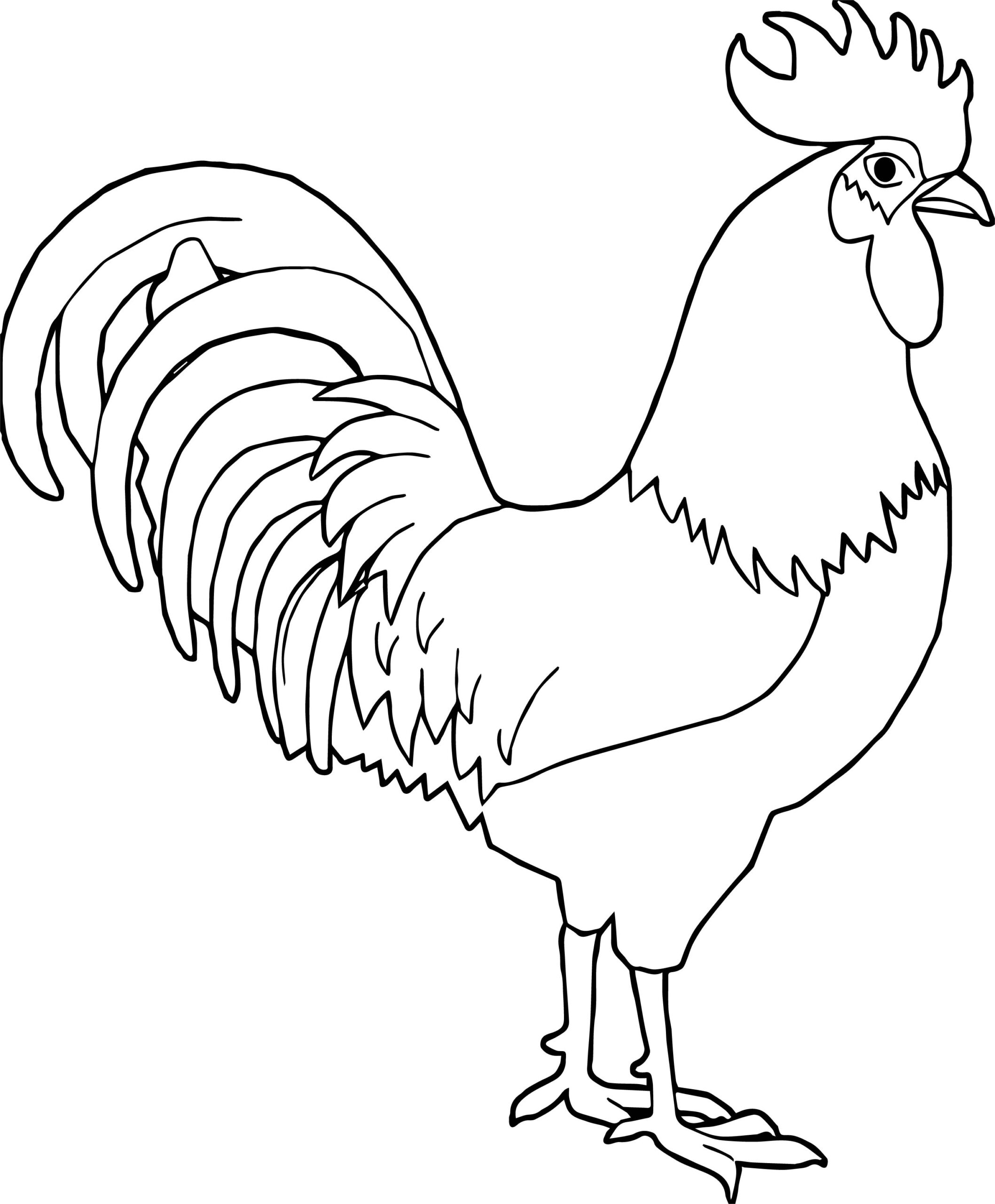Any Rooster Coloring Page Wecoloringpage