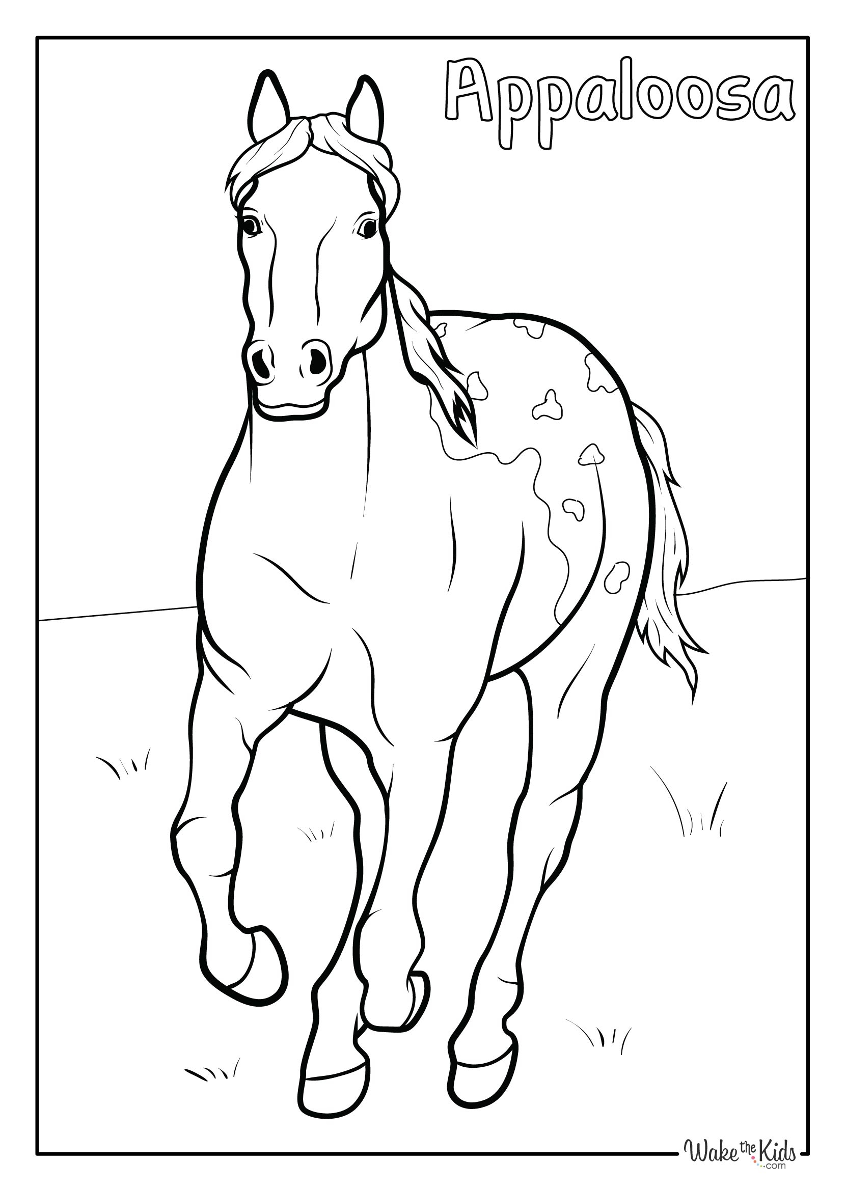 Appaloosa Horse Coloring Pages Free Printable PDFs WakeTheKids