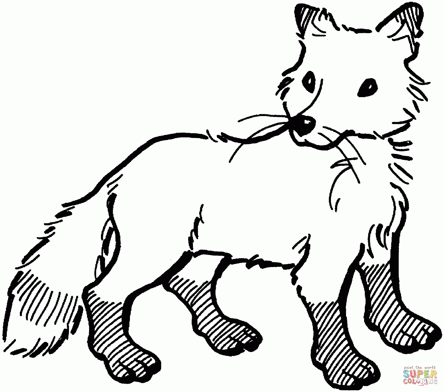 Arctic Fox Pages To Print Coloring Pages