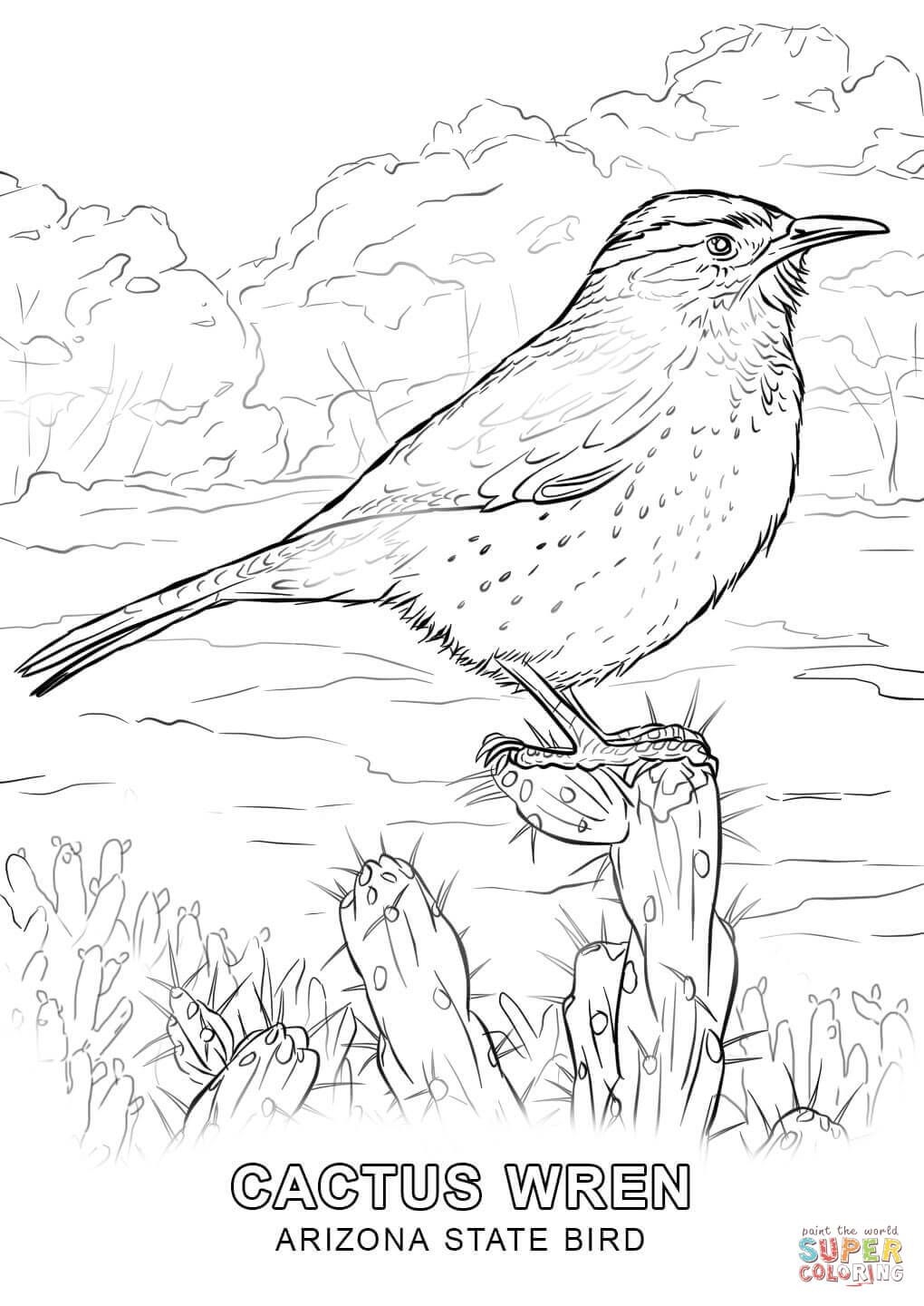 Arizona Map Coloring Page Coloring Pages