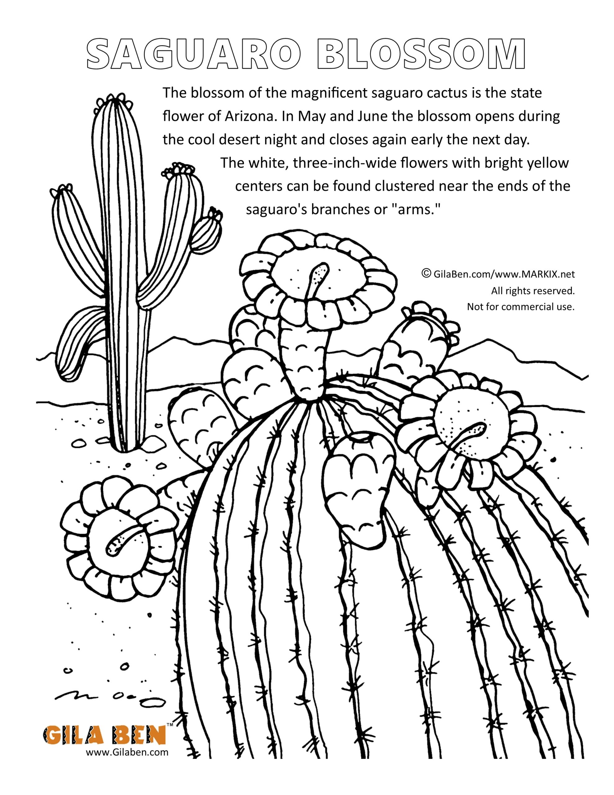 Arizona Coloring Pages