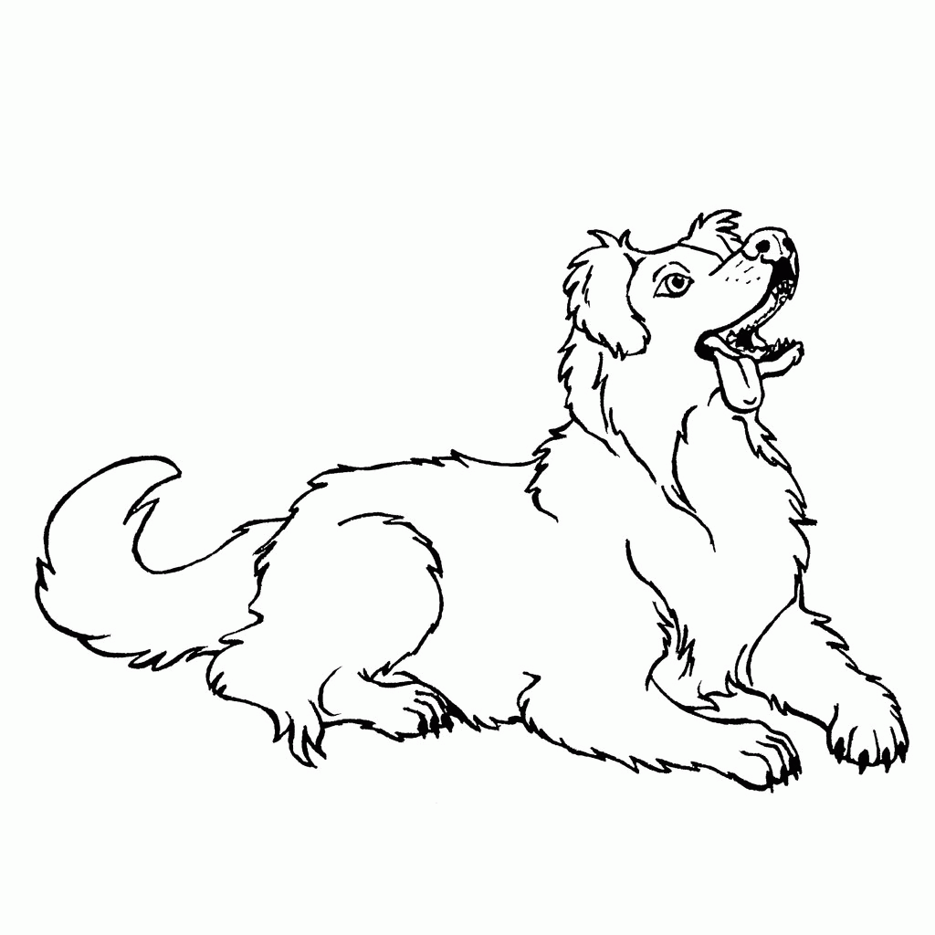 Australian Shepherd Coloring Pages Coloring Home