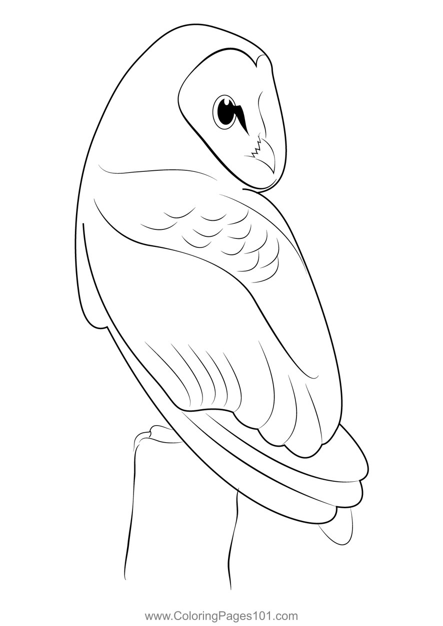 Autumn Barn Owl Coloring Page For Kids Free Owls Printable Coloring Pages Online For Kids