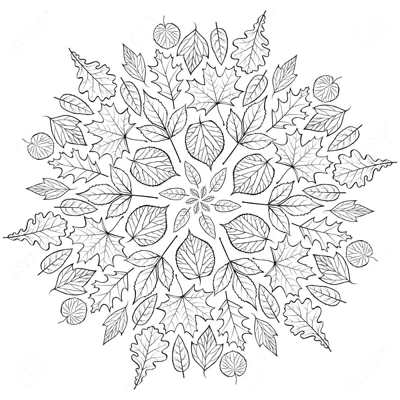 Autumn Mandala Coloring Pages Coloring Pages