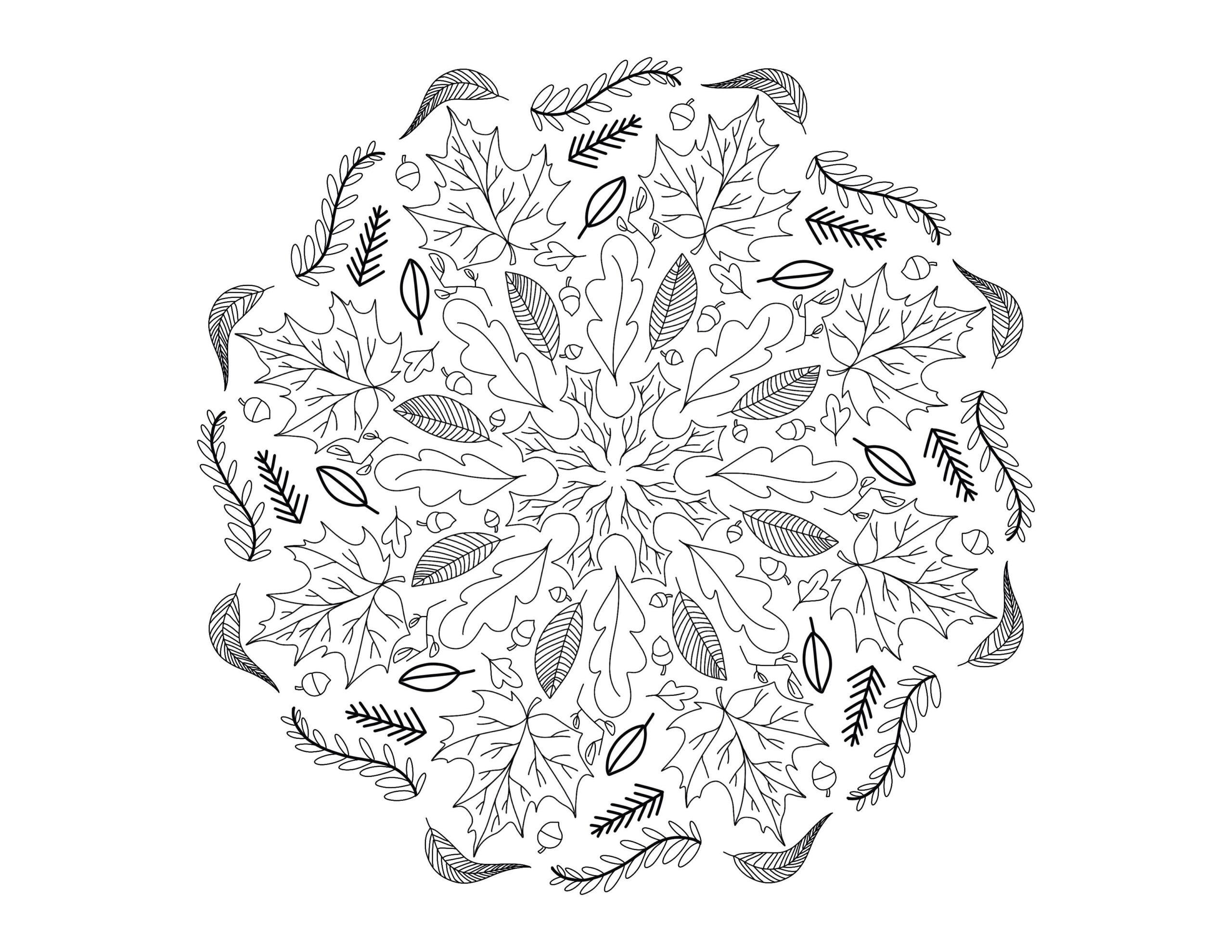 Autumn Mandala Mandalas Adult Coloring Pages