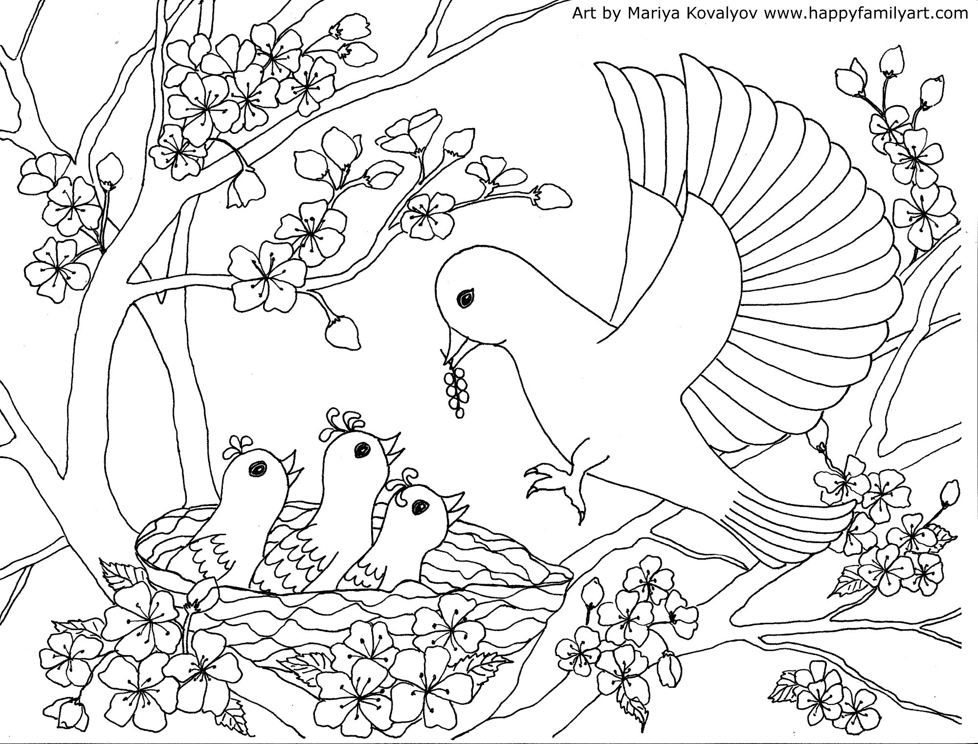 Baby Bird Coloring Pages At GetDrawings Free Download