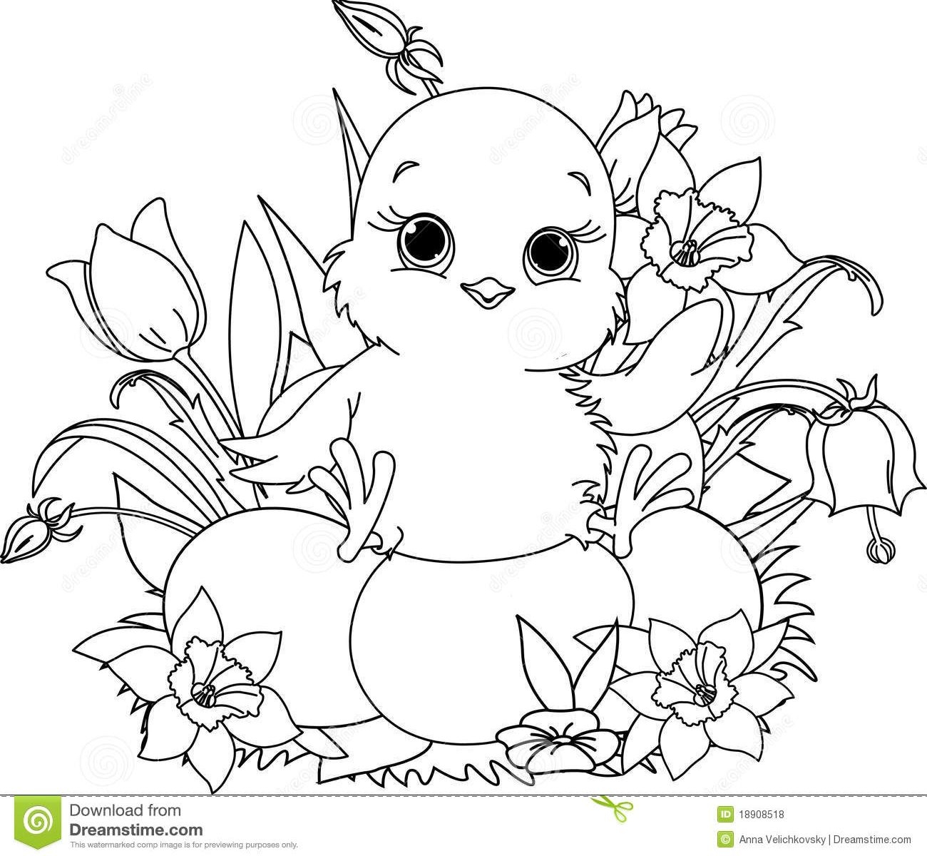 Baby Chick Drawing At GetDrawings Free Download