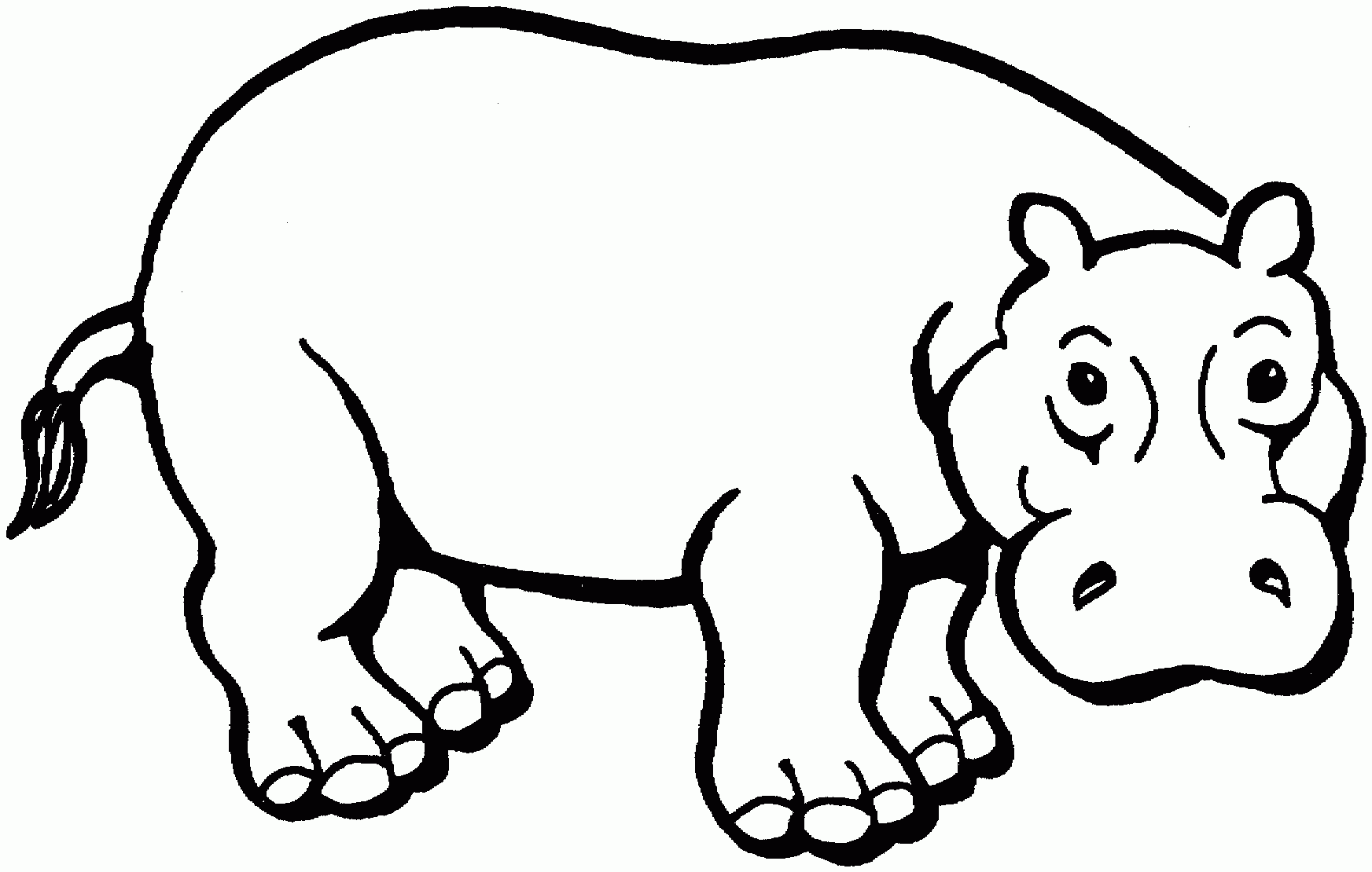 Baby Hippo Coloring Coloring Pages