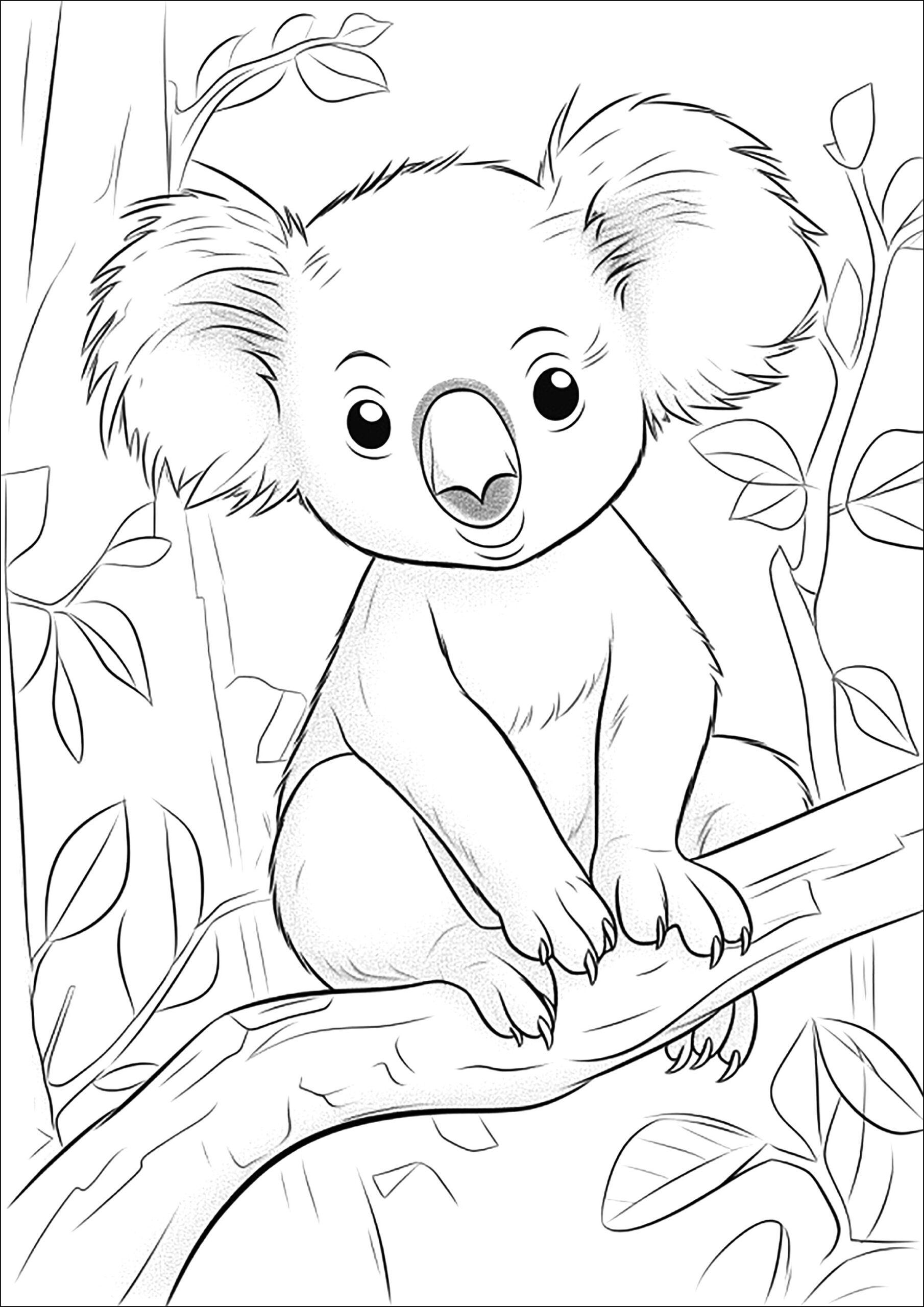Baby Koala Bear Coloring Pages